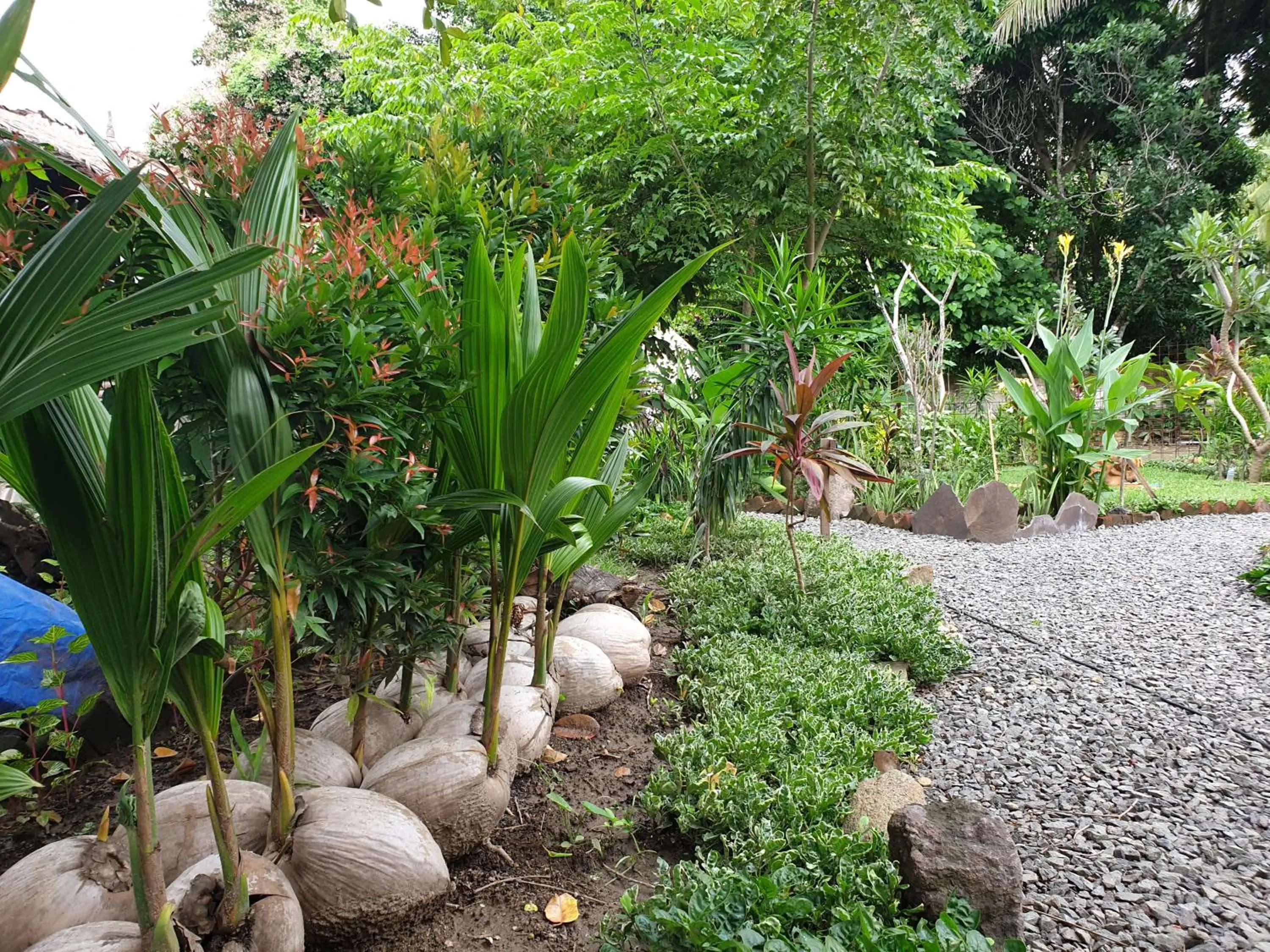 Garden in SAME SAME Bungalows - ECO Friendly