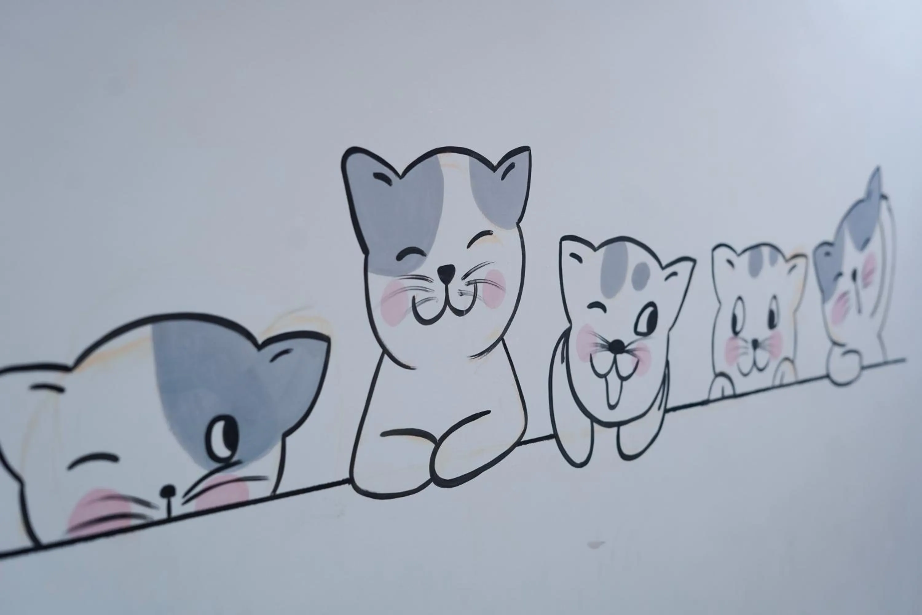 Blue River Hostel, Rishikesh