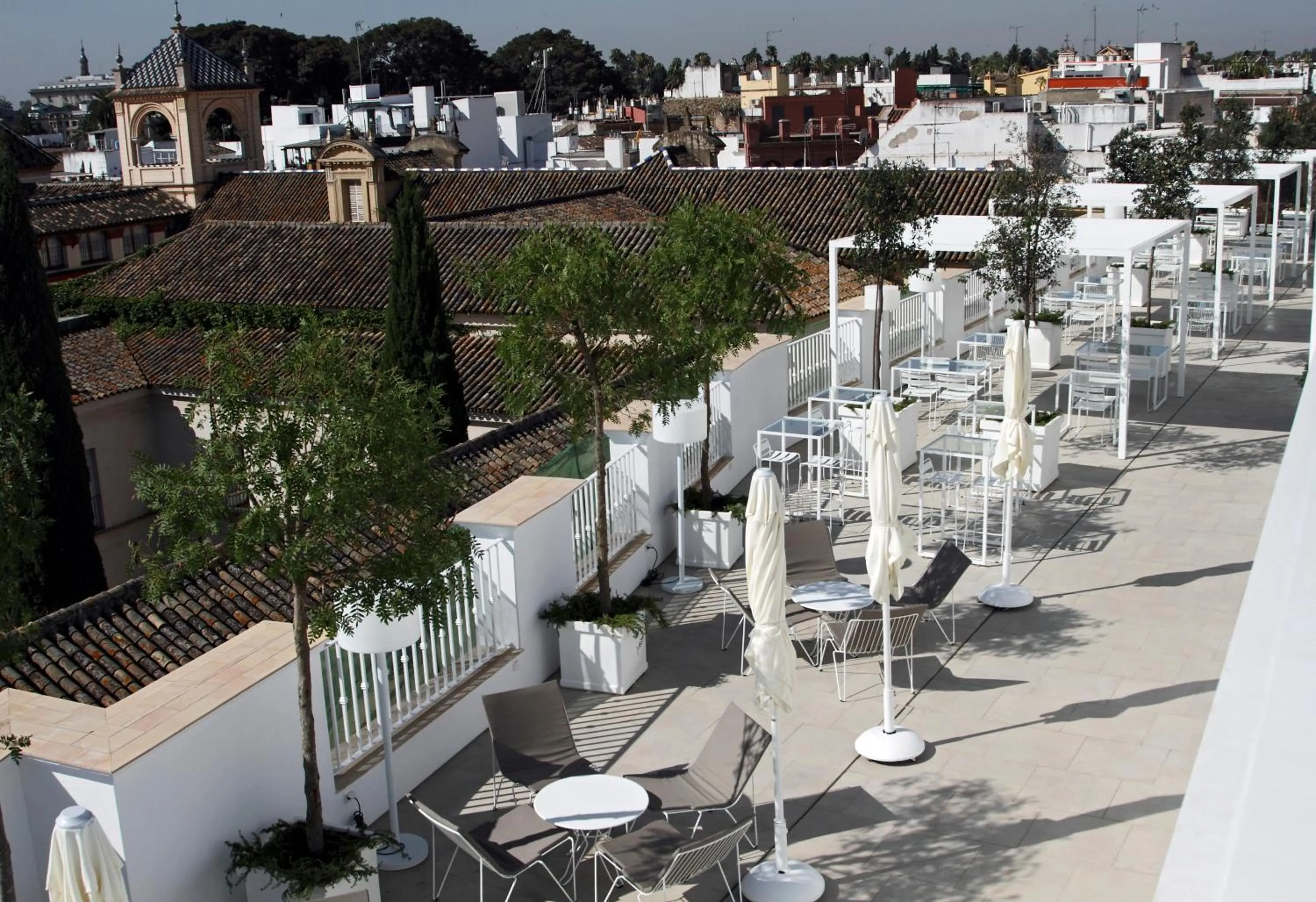 Balcony/Terrace in Hotel Fernando III
