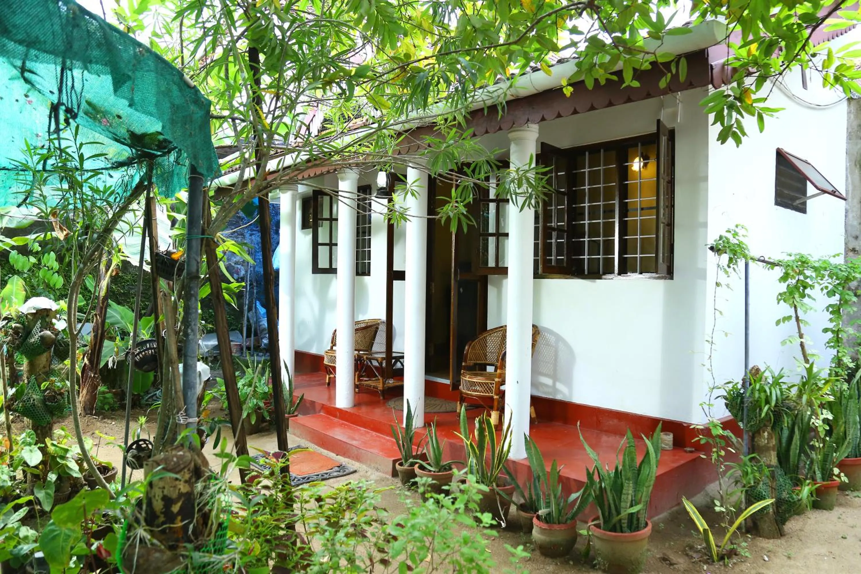 Garden in Walton's Homestay, Fort Cochin