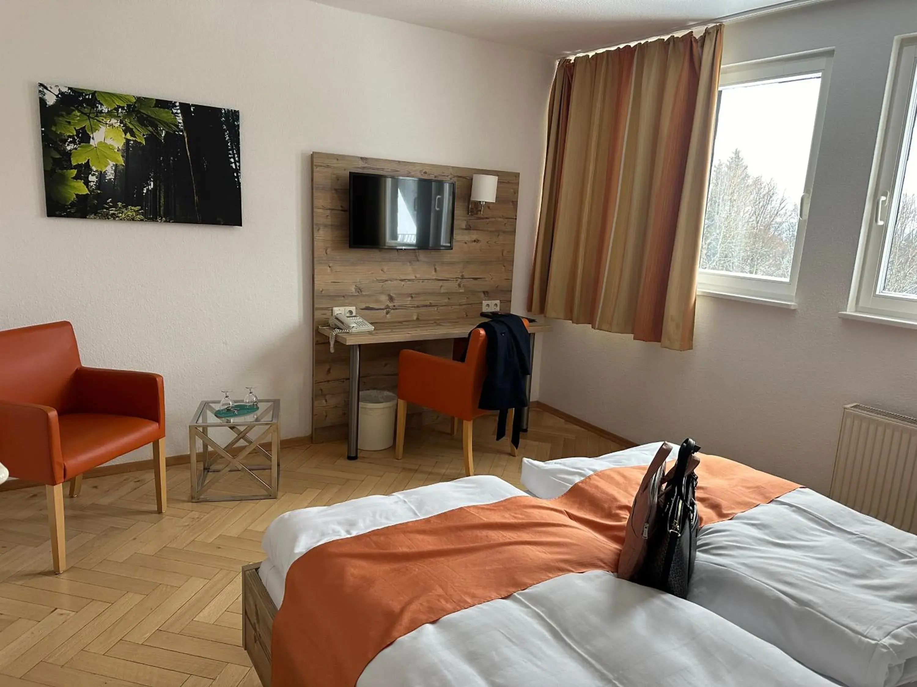 Double Room - single occupancy in Hotel Haus am Ahorn Double Room - single occupancy in Hotel Haus am Ahorn