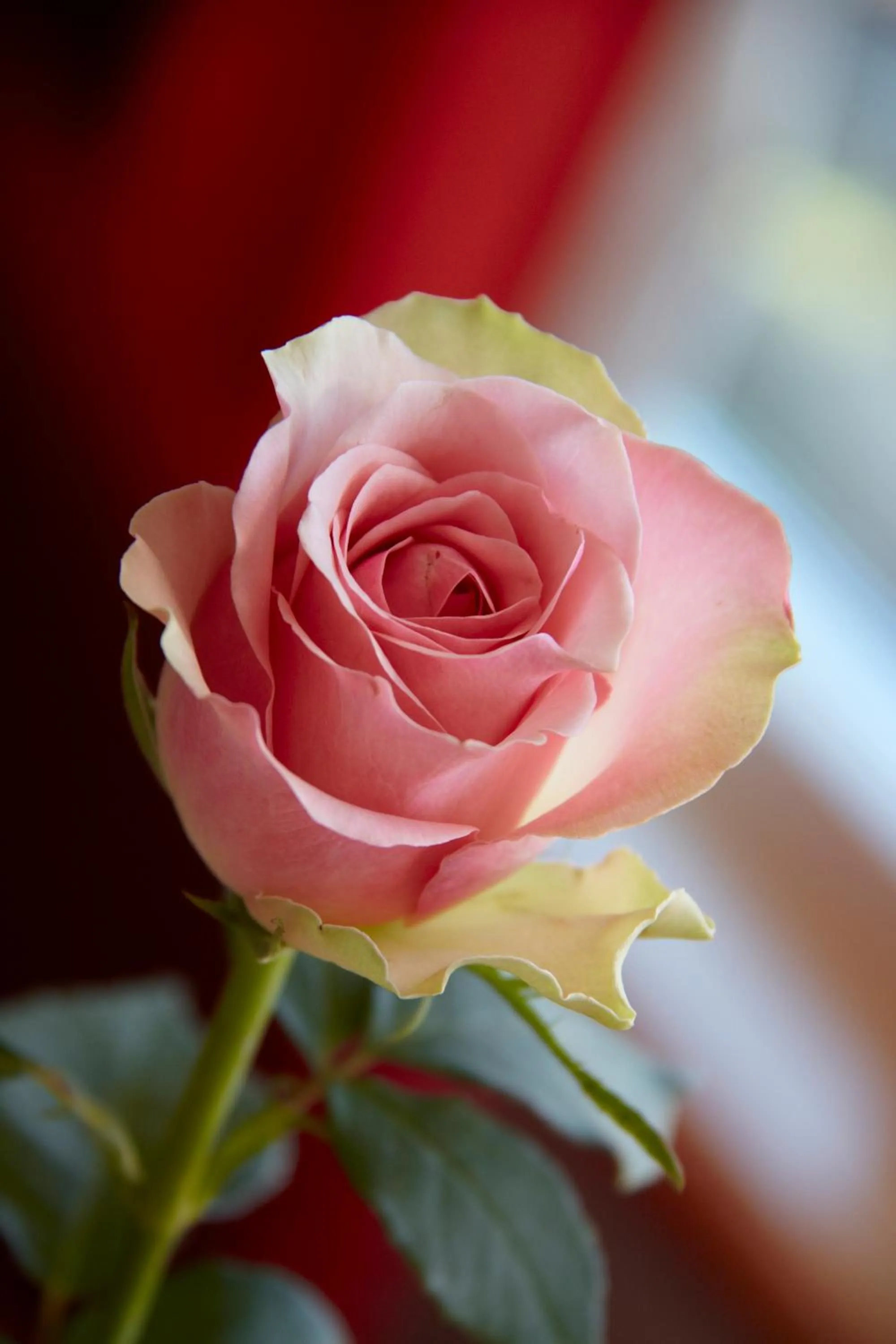 Other in Ullevål Hotel