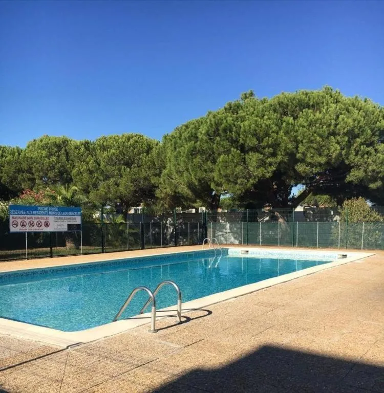 Swimming pool in Appartement grande terrasse Climatisé