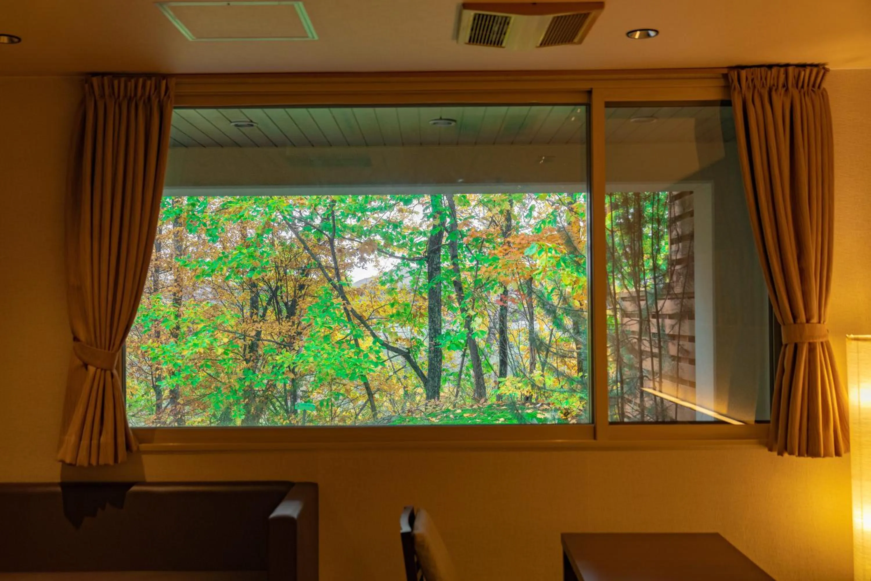 Morinoyu Hotel Hanakagura