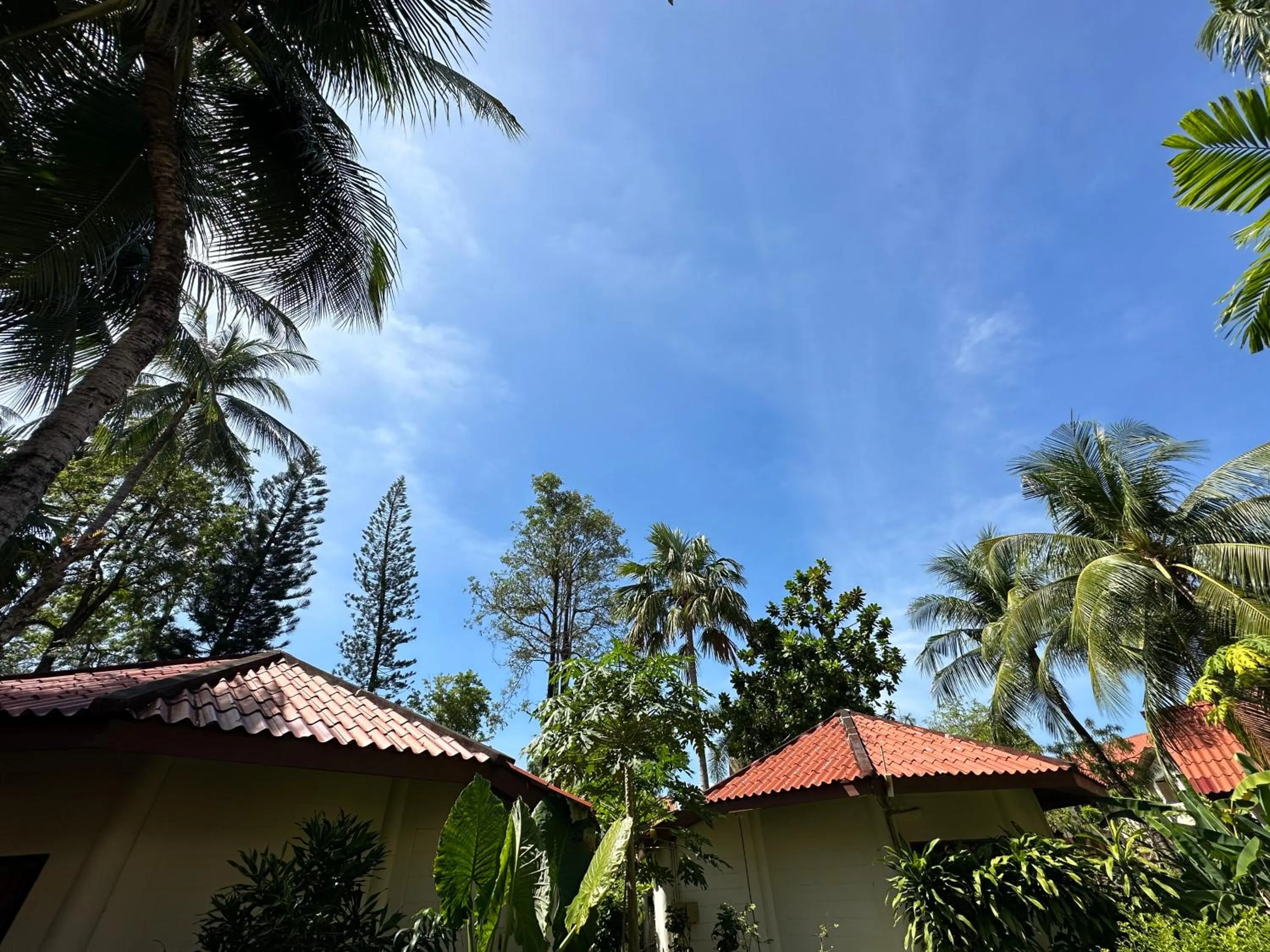 Garden view in Phuket Leelavadee Hua Ting Resort