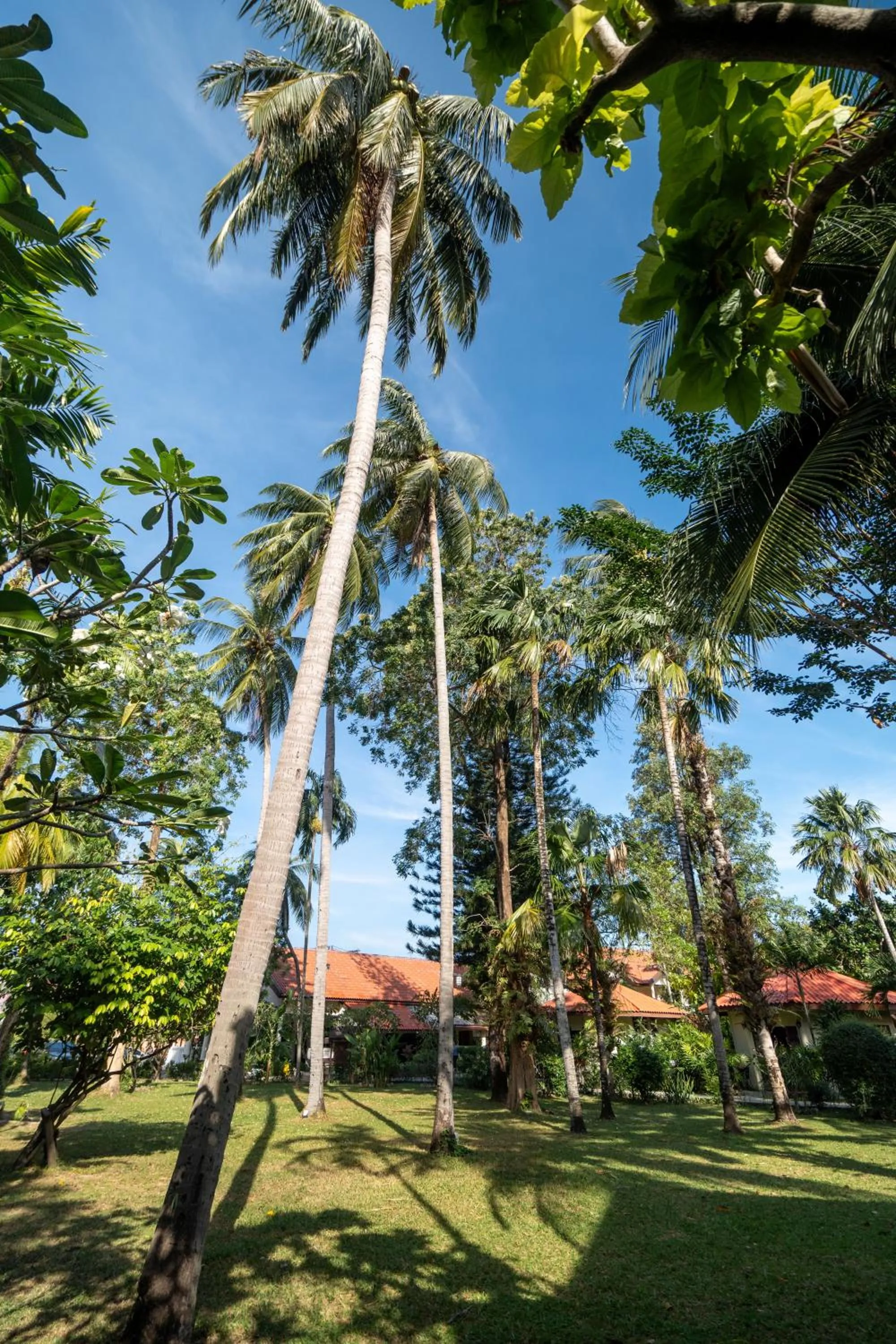 Natural landscape in Phuket Leelavadee Hua Ting Resort