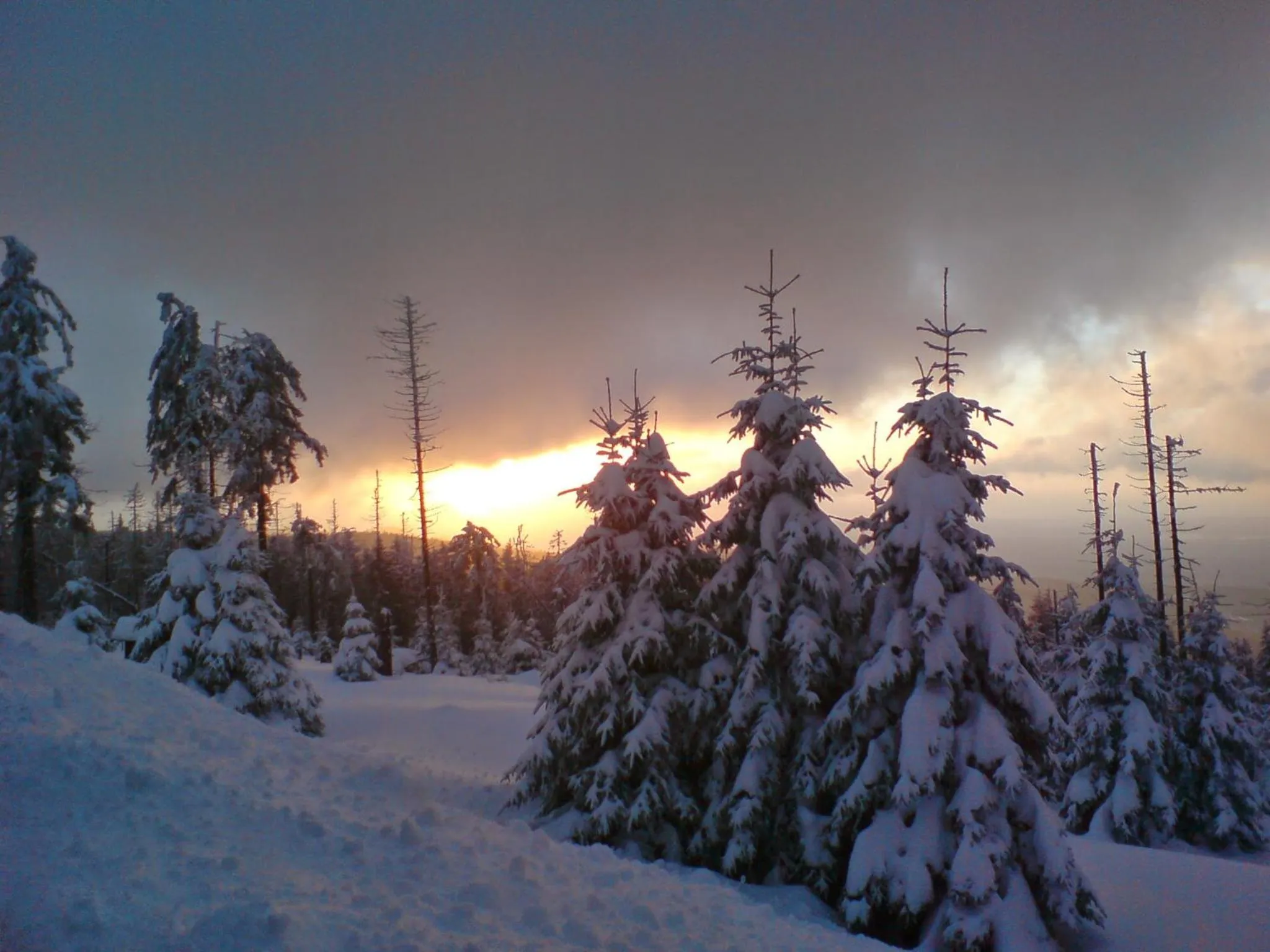 Staff in Hotel Brockenscheideck