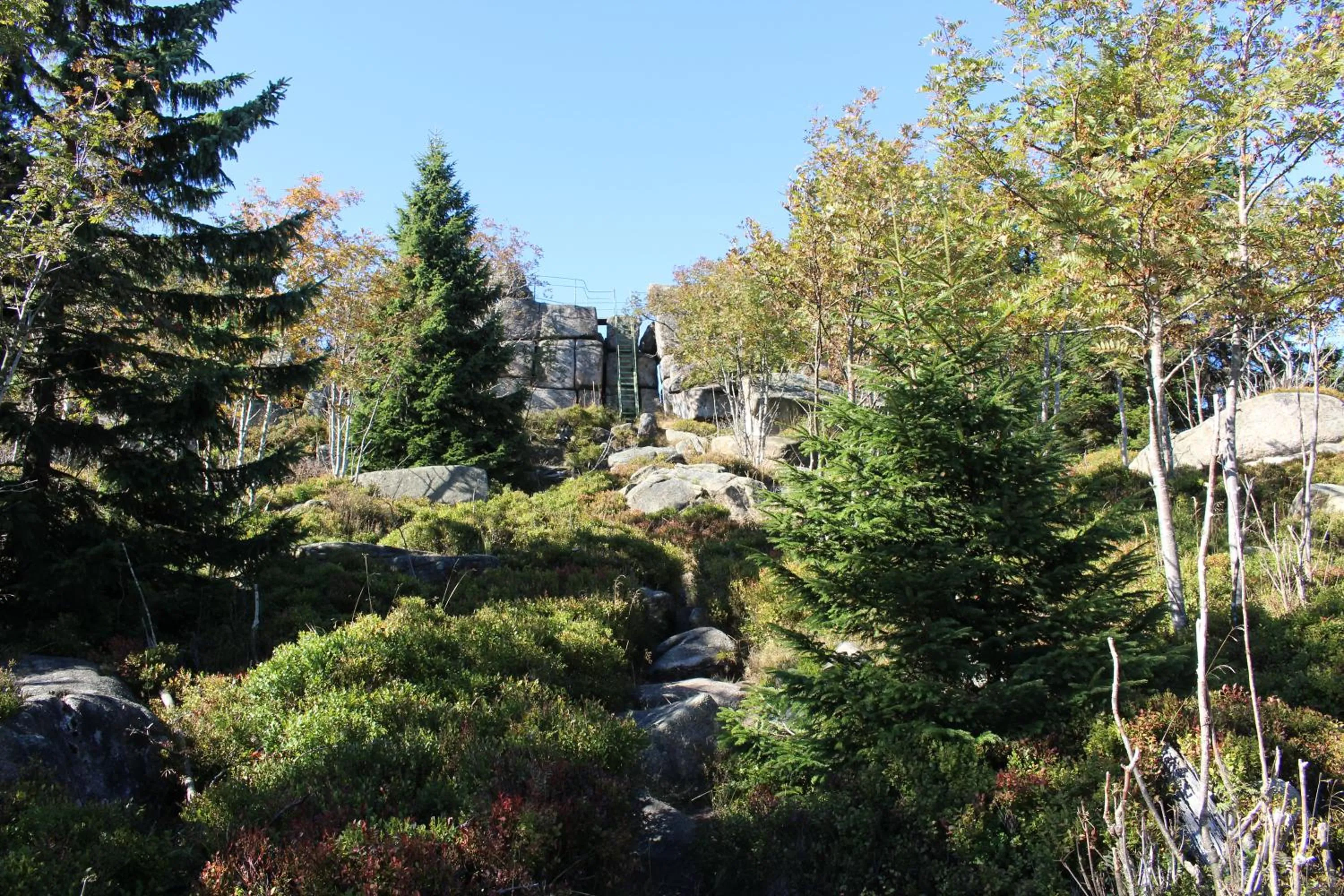Staff in Hotel Brockenscheideck