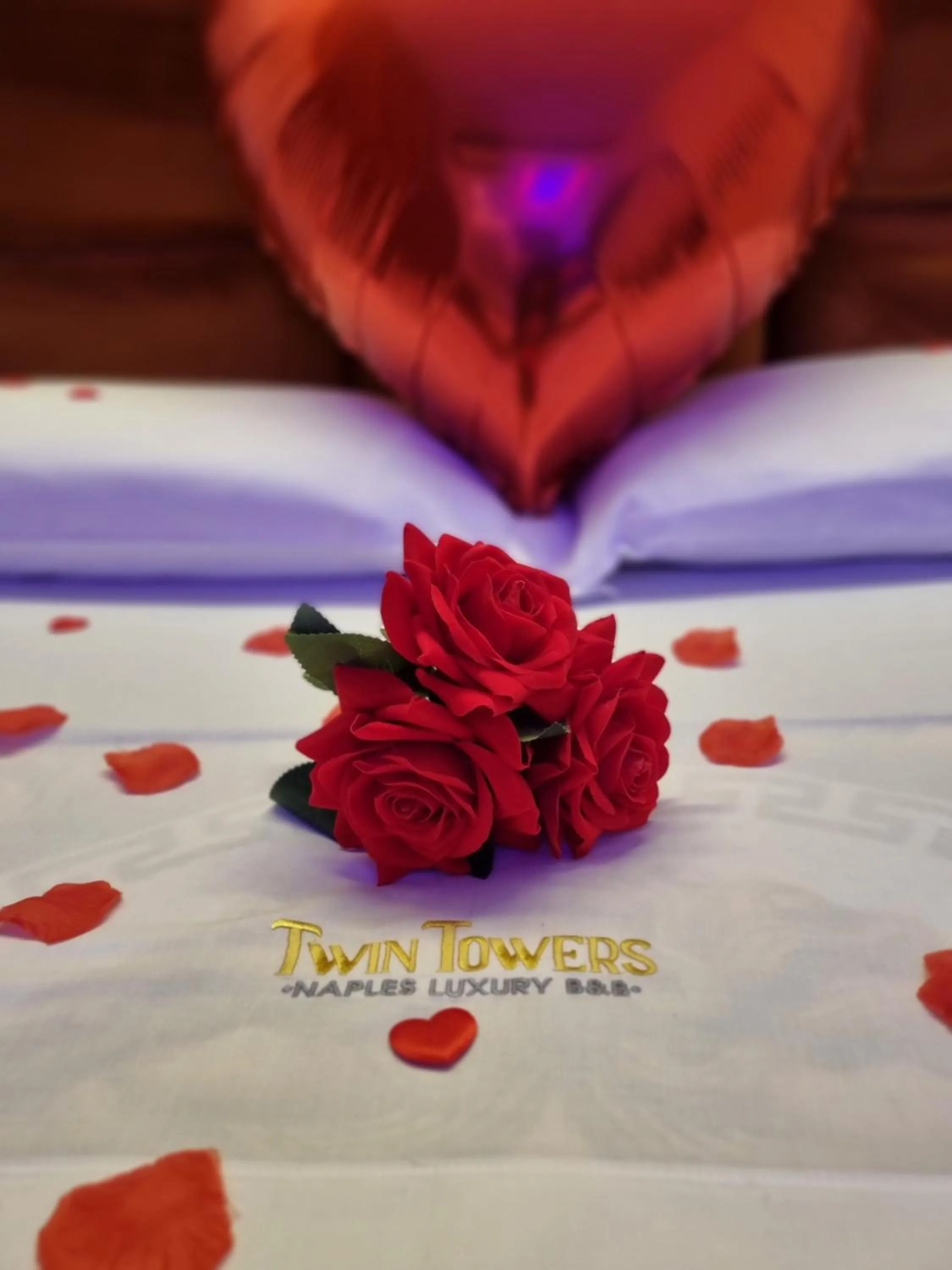 Twin Towers Naples Luxury