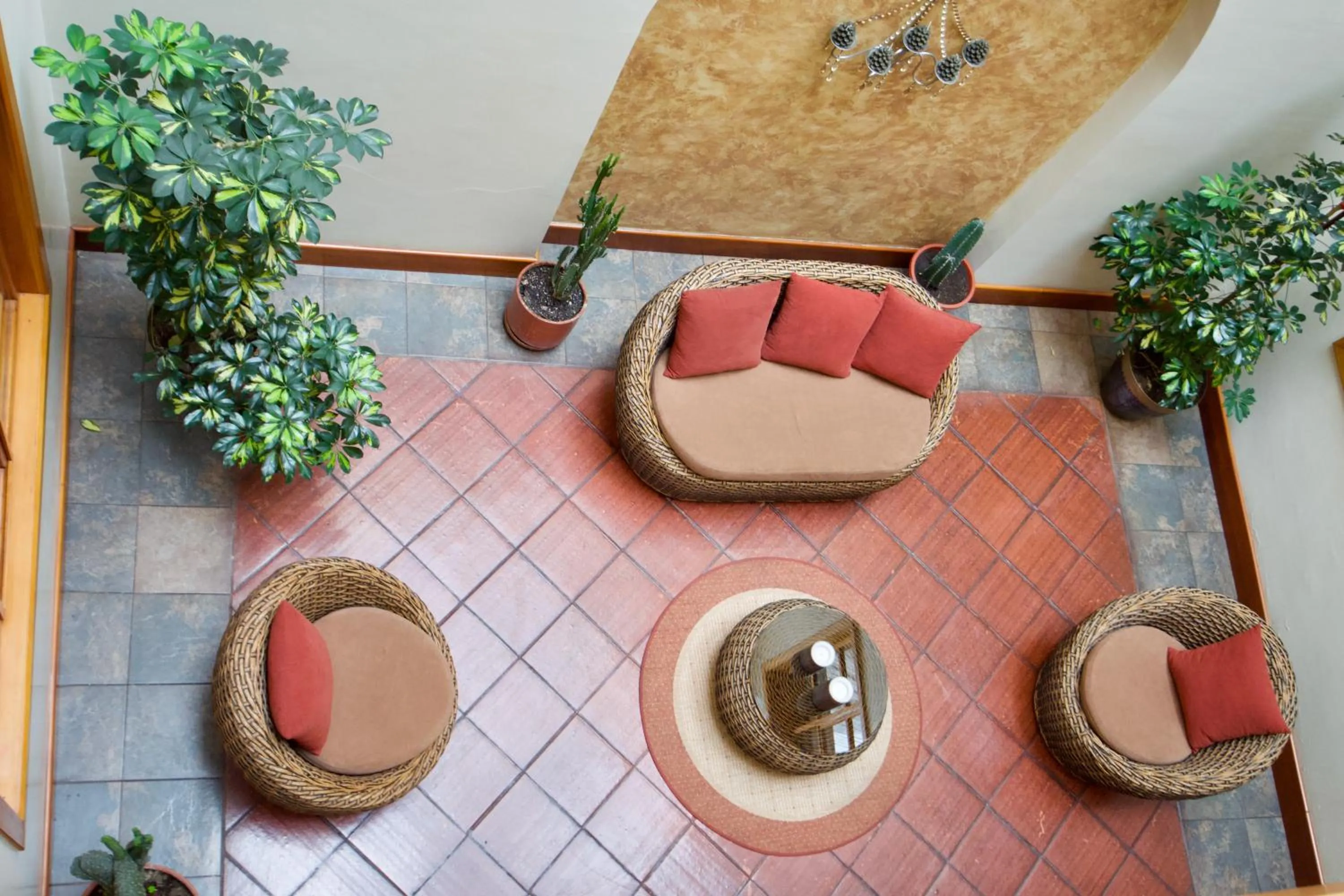 Patio in Pepe's House Cuenca I Hotel & Boutique Hostel