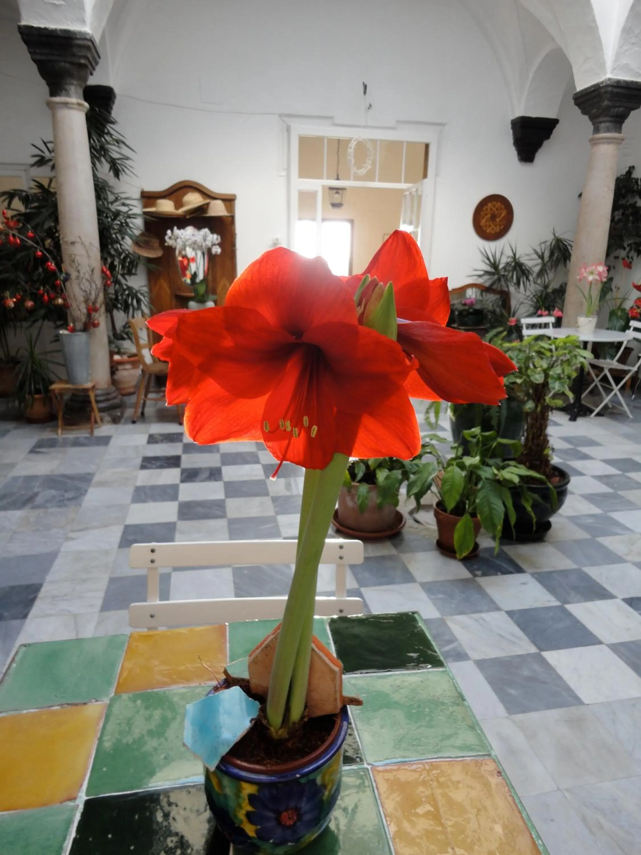 Patio in La Casa Grande