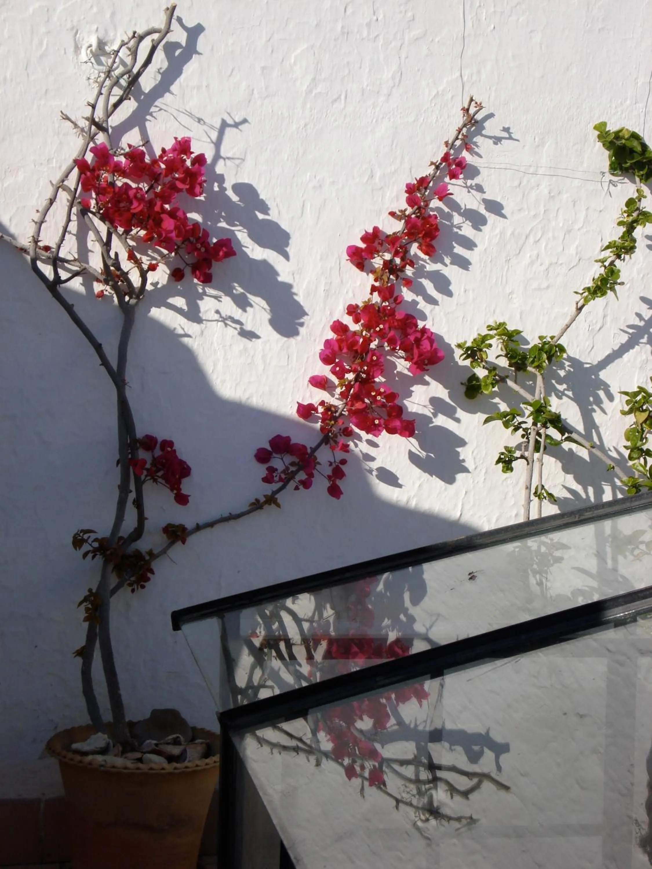Balcony/Terrace in La Casa Grande