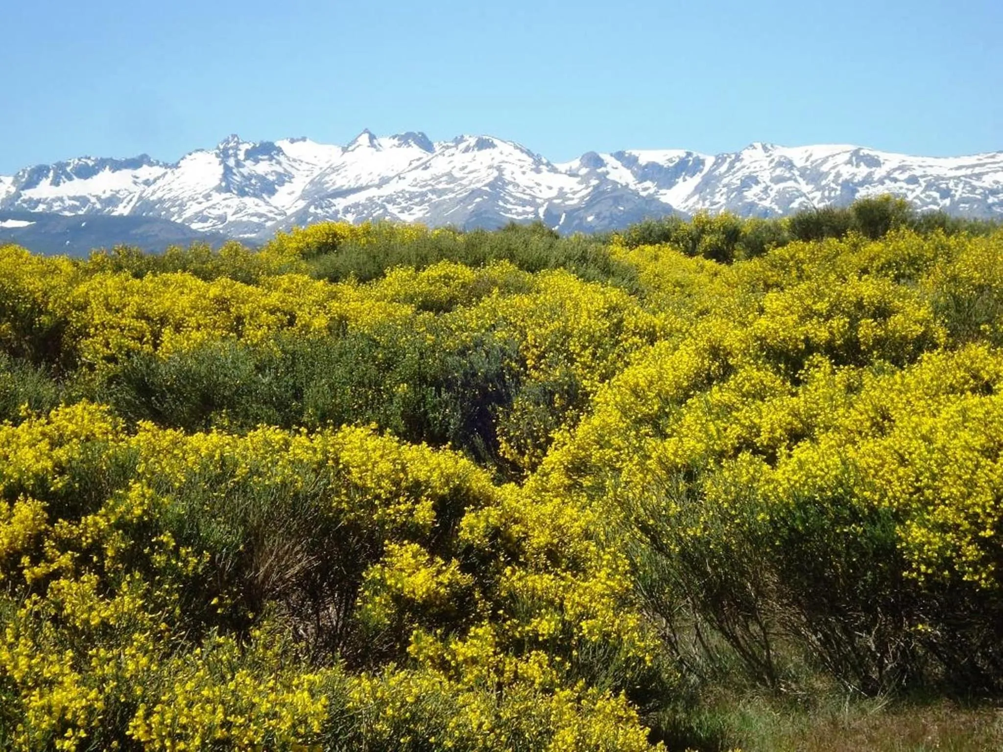 Facade/entrance in El Milano Real