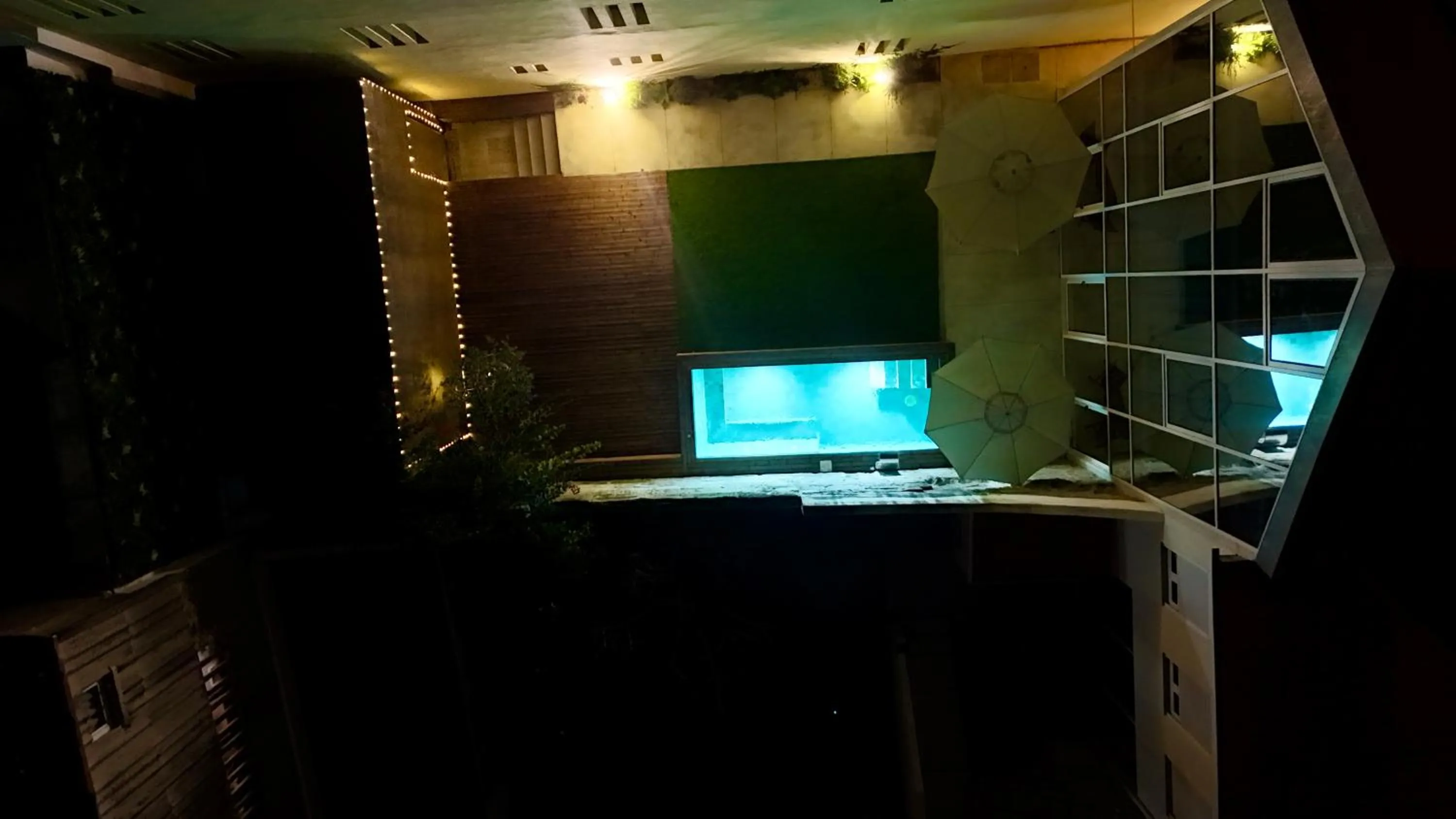 Garden in Ocean Porto - Beach House