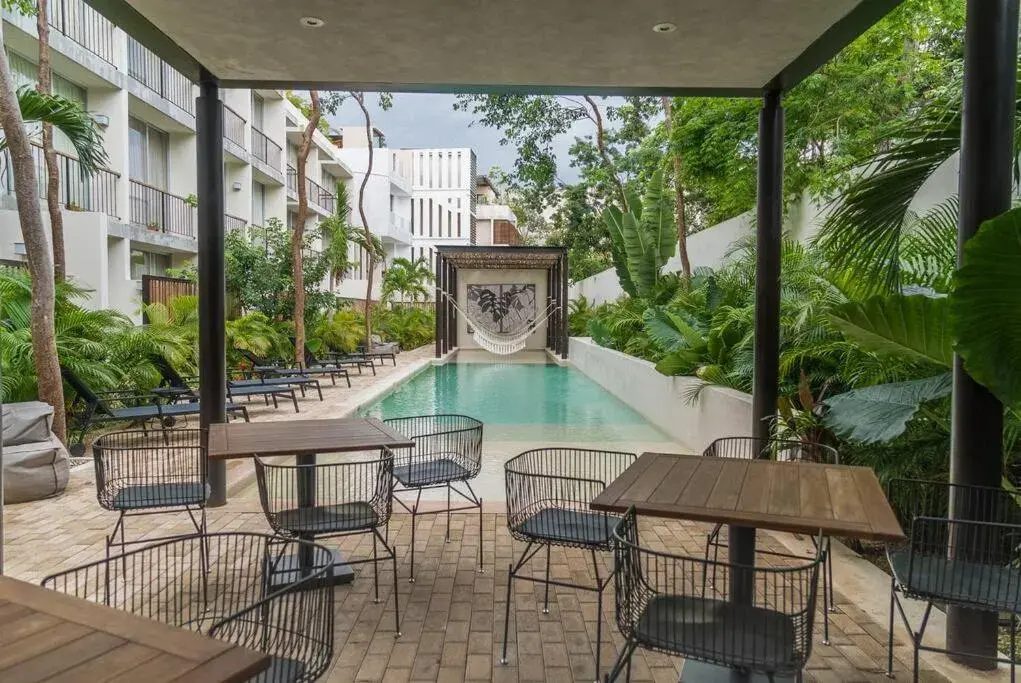 Excelente Estudio en el corazón de Tulum! Excelente Estudio en el corazón de Tulum!