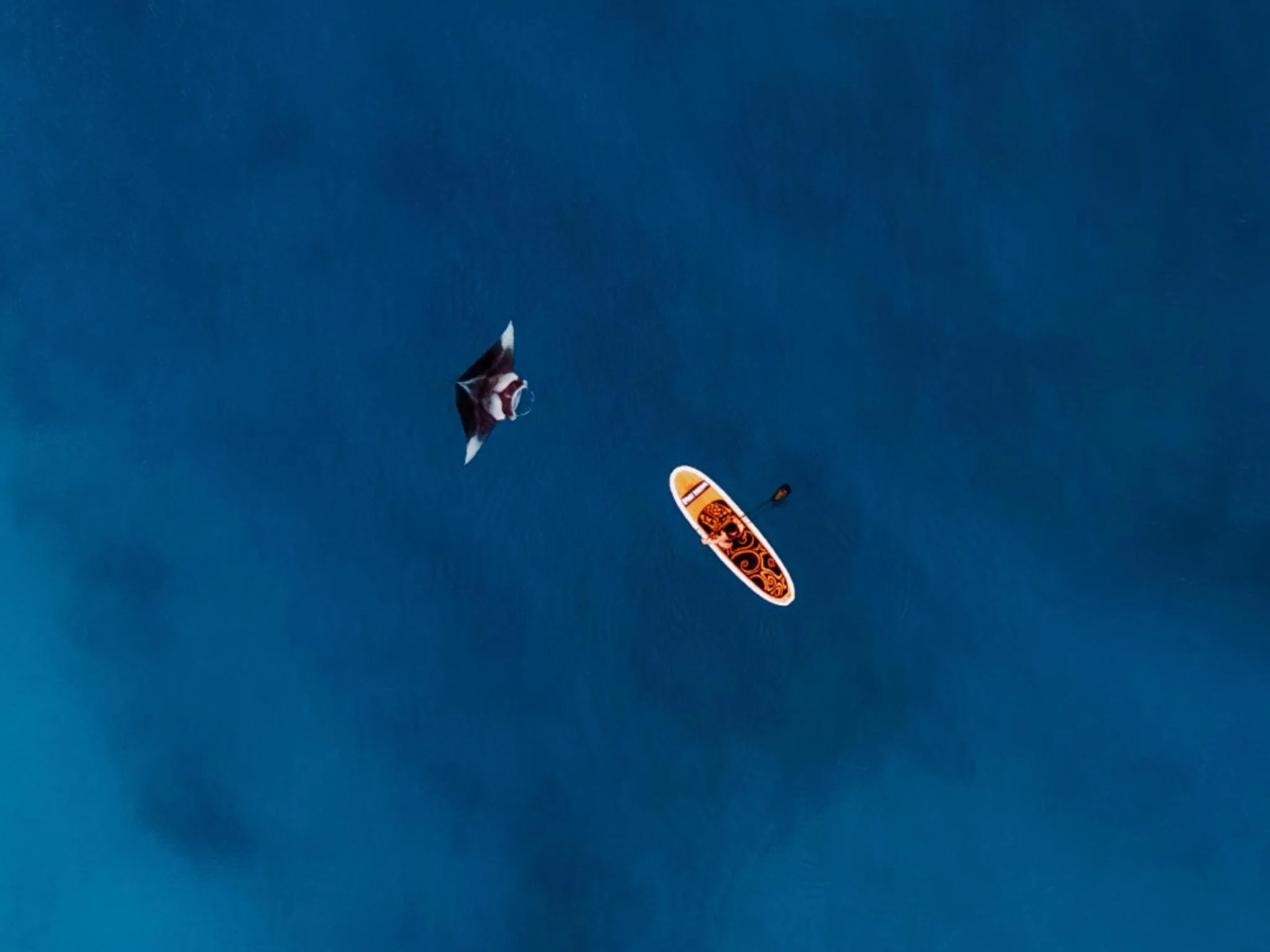 Activities in Oaga Art Resort Maldives - All Inclusive