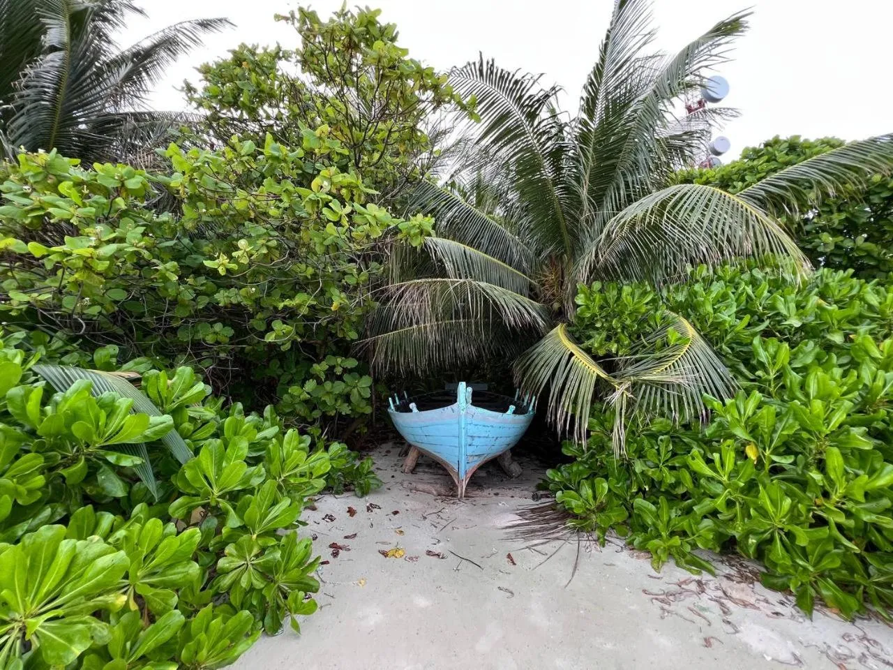 Day in Gaskara Guesthouse