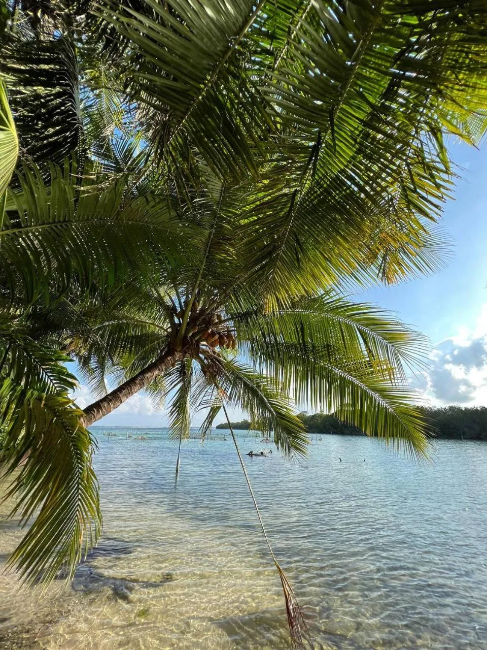 Day in Gaskara Guesthouse