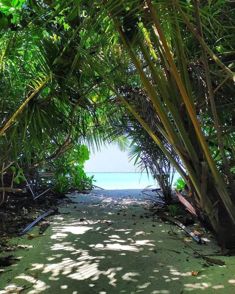 Day in Gaskara Guesthouse