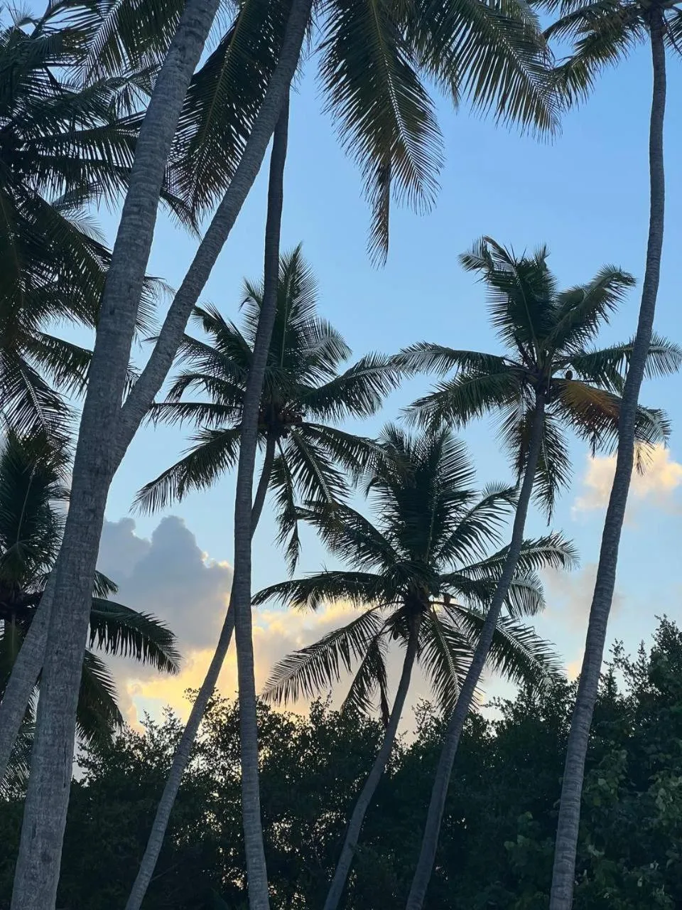 Day in Gaskara Guesthouse