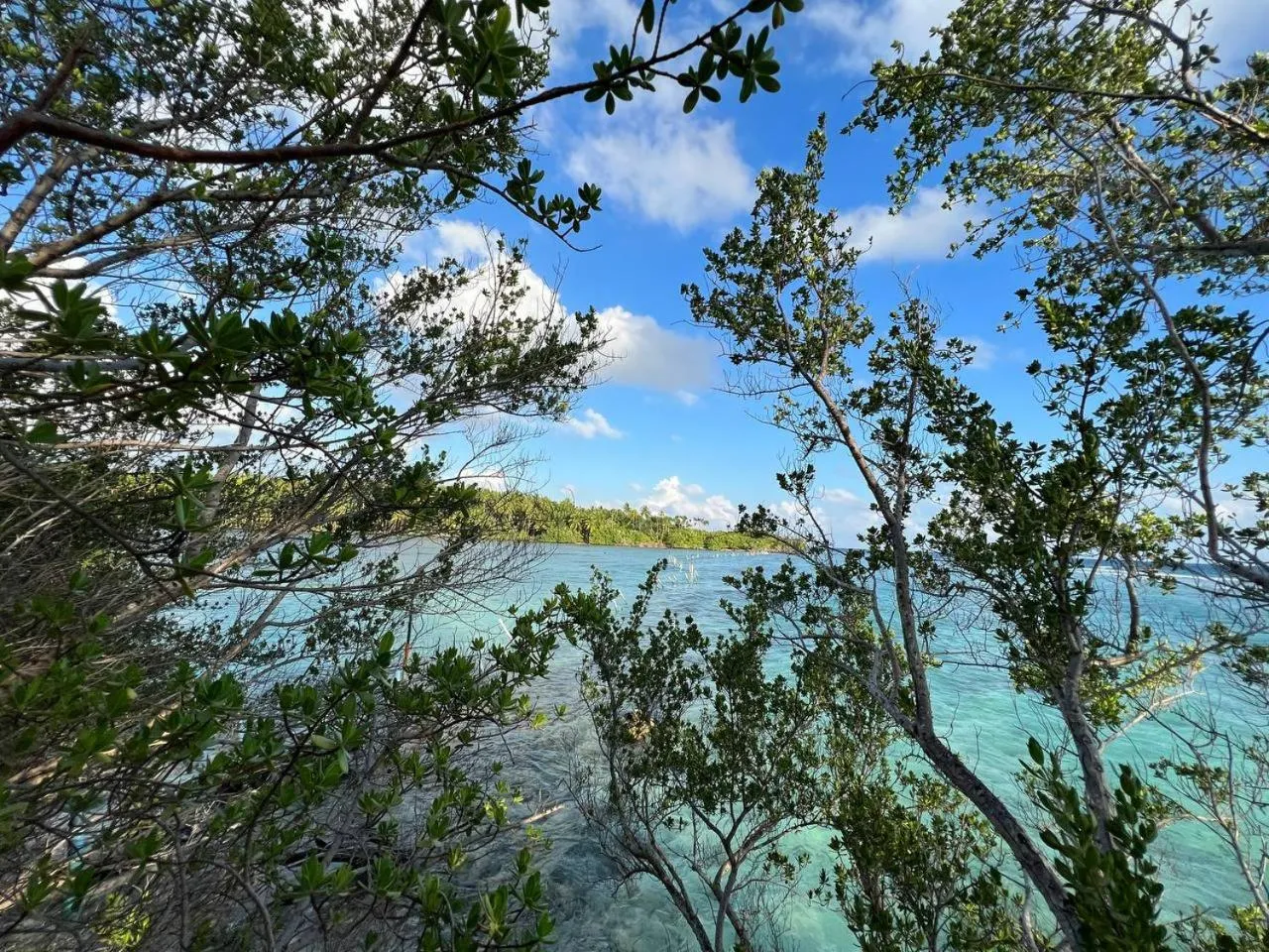 Day in Gaskara Guesthouse