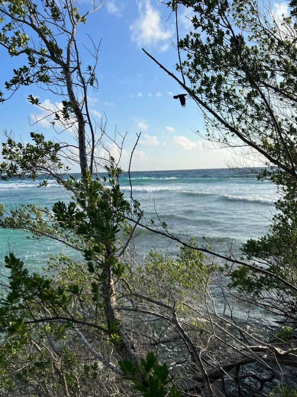 Beach in Gaskara Guesthouse