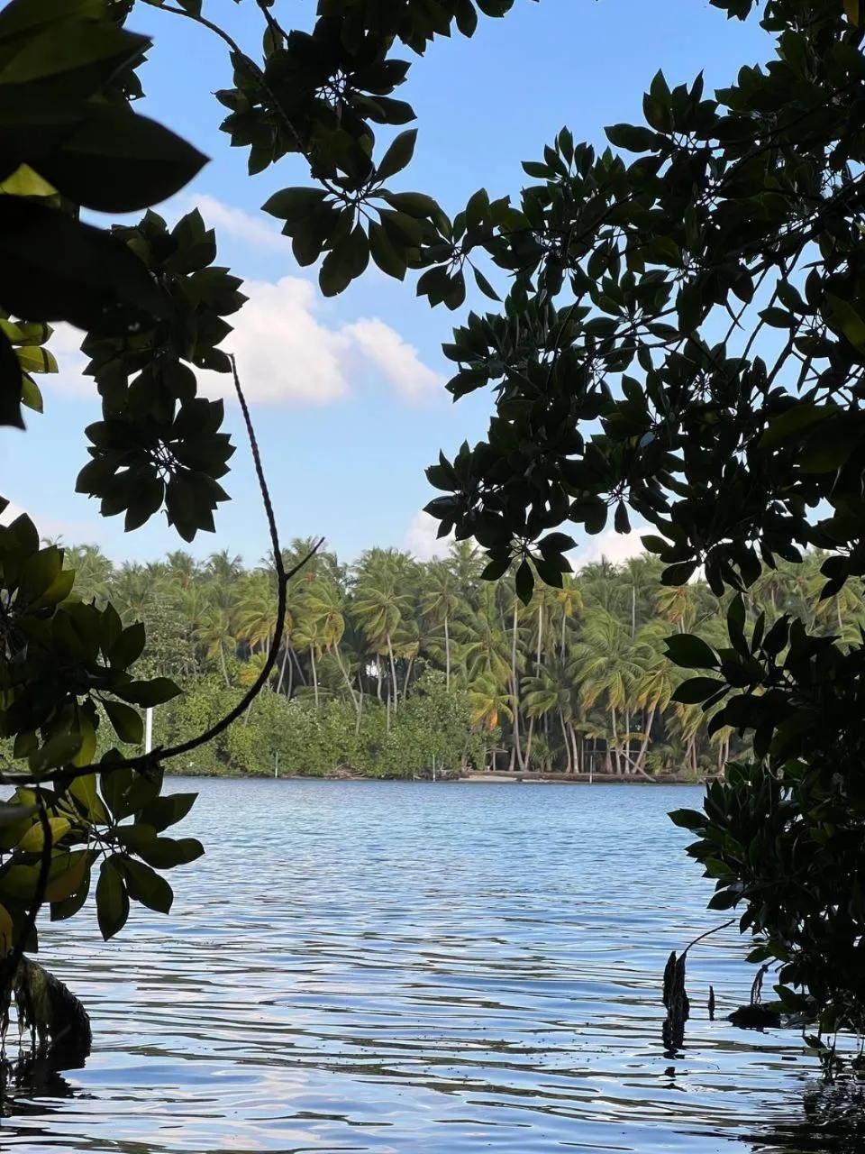 Lake view in Gaskara Guesthouse