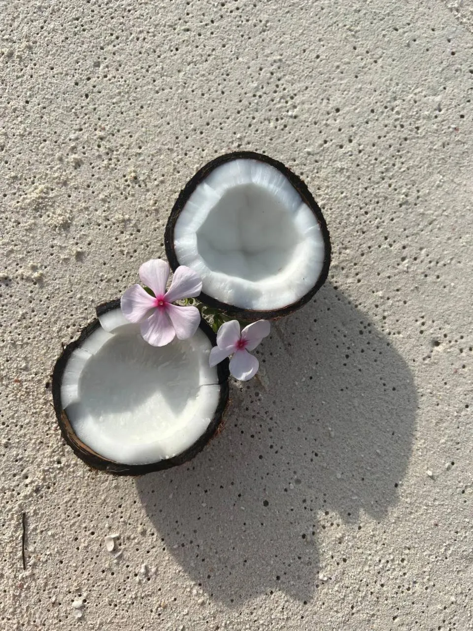 Day in Gaskara Guesthouse