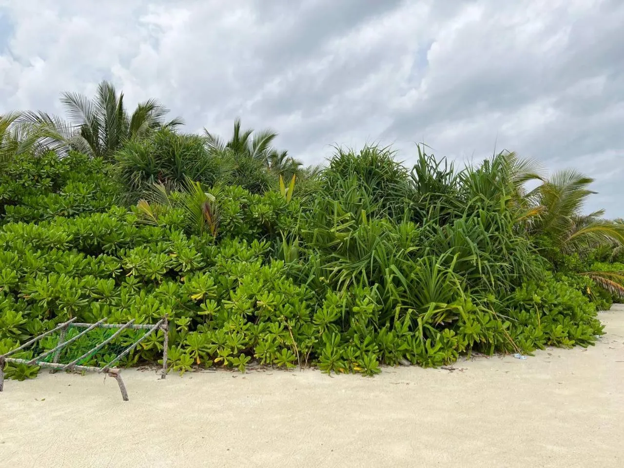 Day in Gaskara Guesthouse