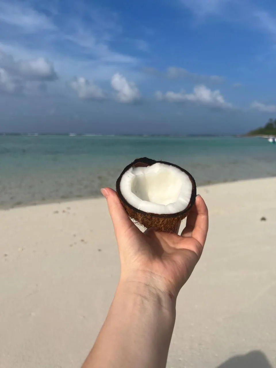 Day in Gaskara Guesthouse