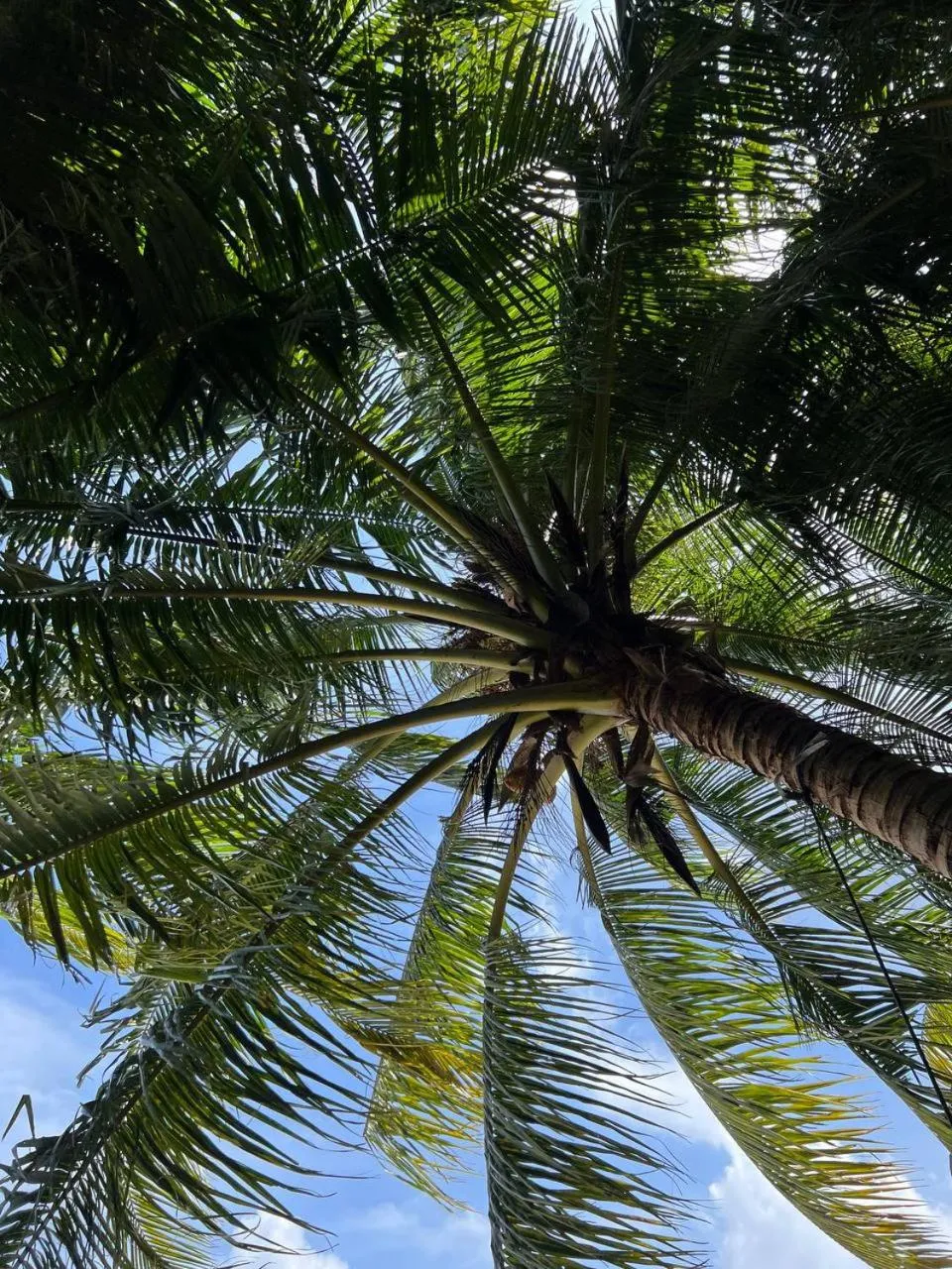 Day in Gaskara Guesthouse