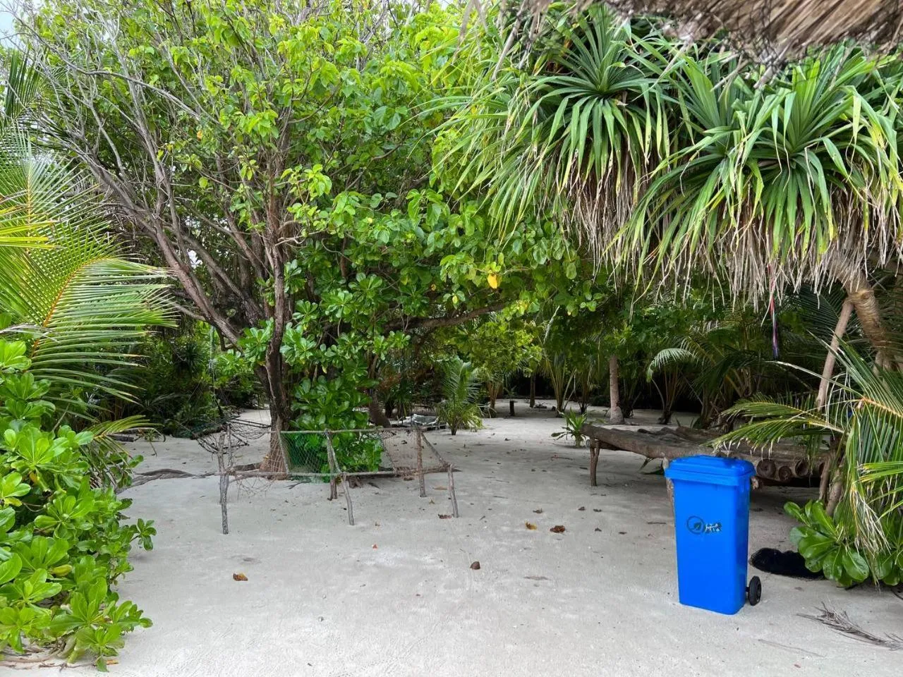 Day in Gaskara Guesthouse