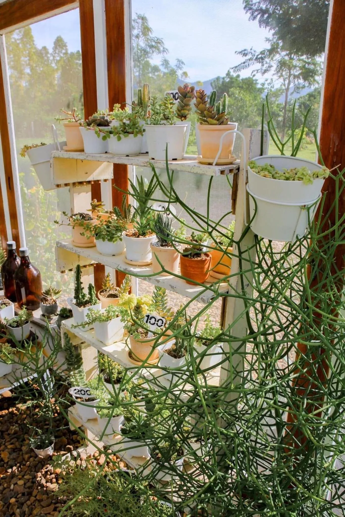 Nex Station Kanchanaburi