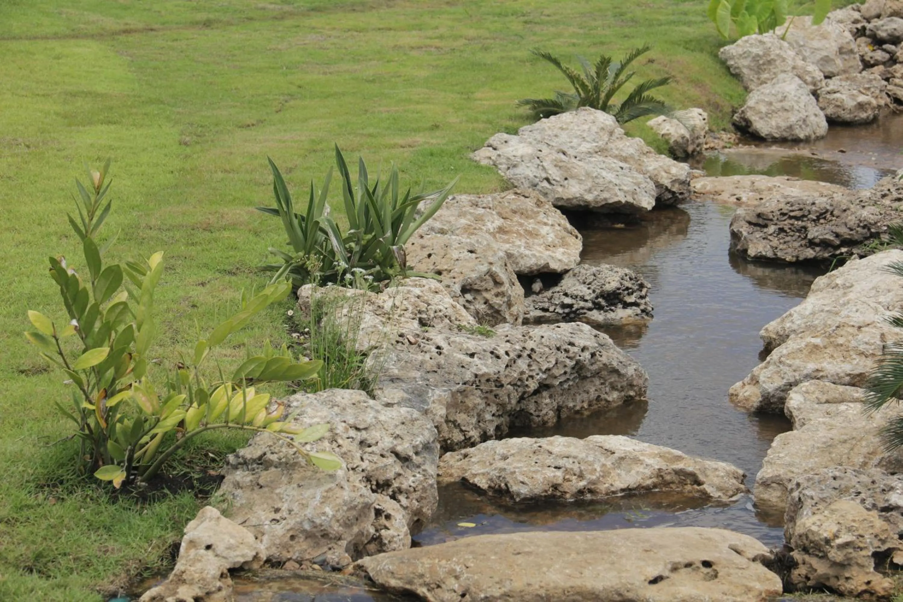 Natural landscape in Nex Station Kanchanaburi