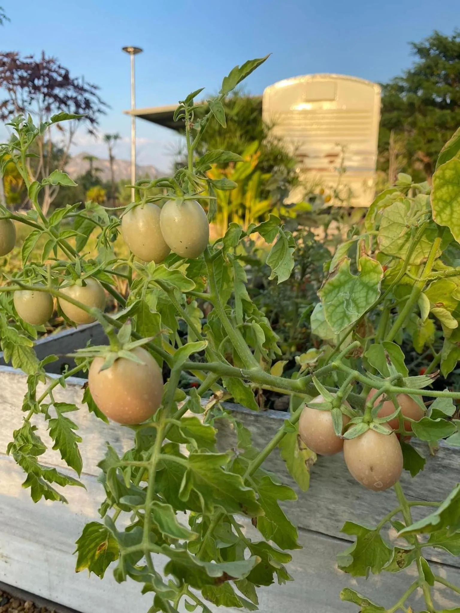 Day in Nex Station Kanchanaburi