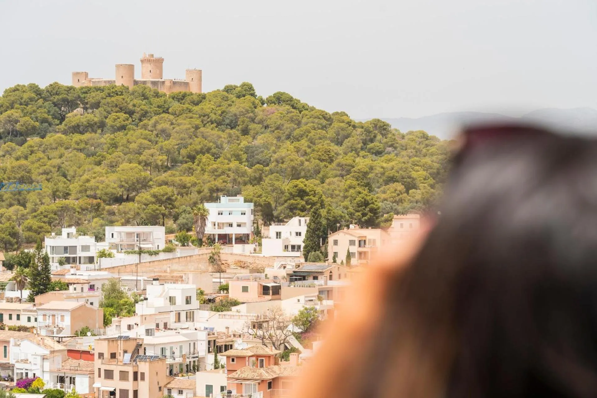 Natural landscape in Hotel Amic Horizonte