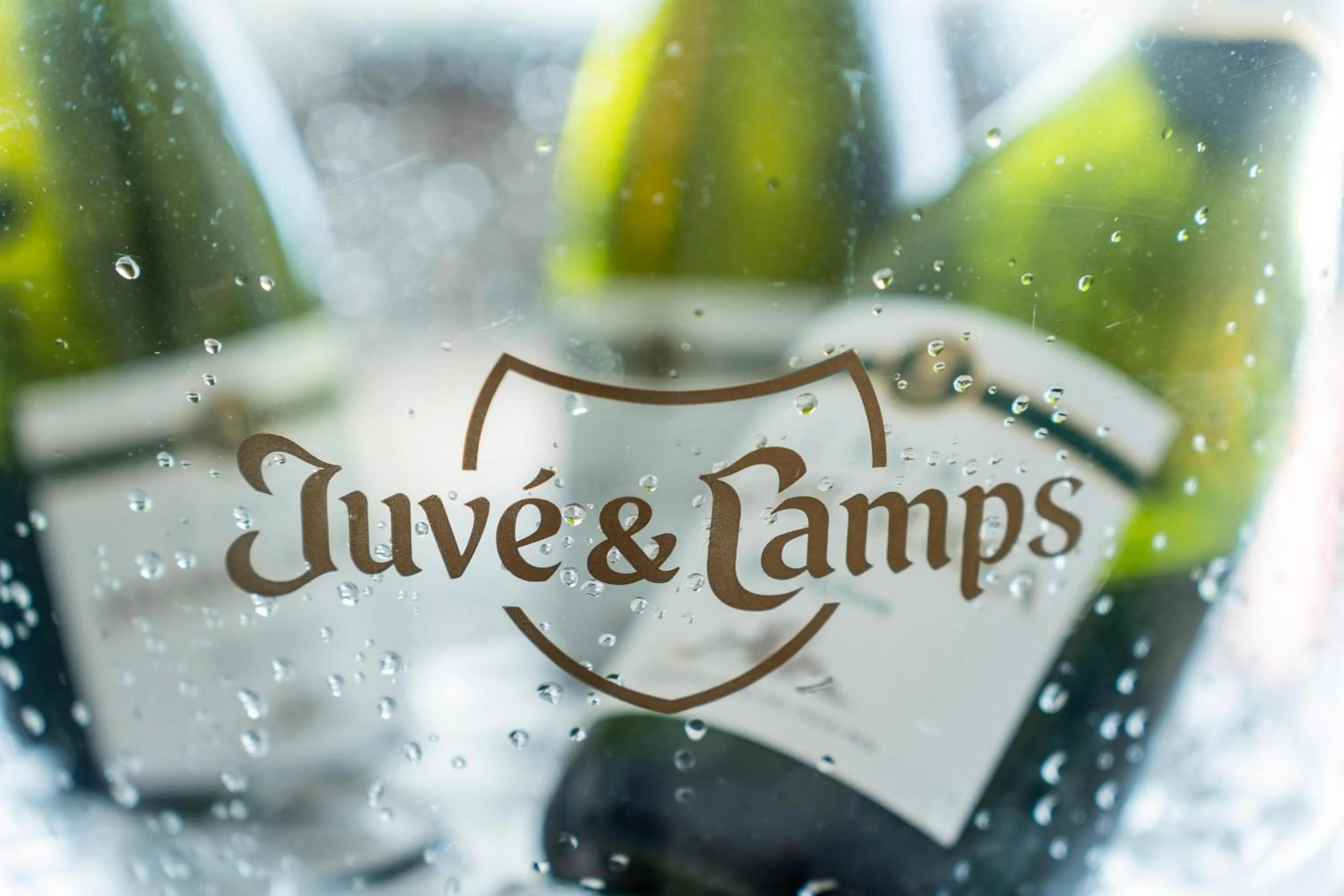 Lounge or bar in Hotel Amic Horizonte