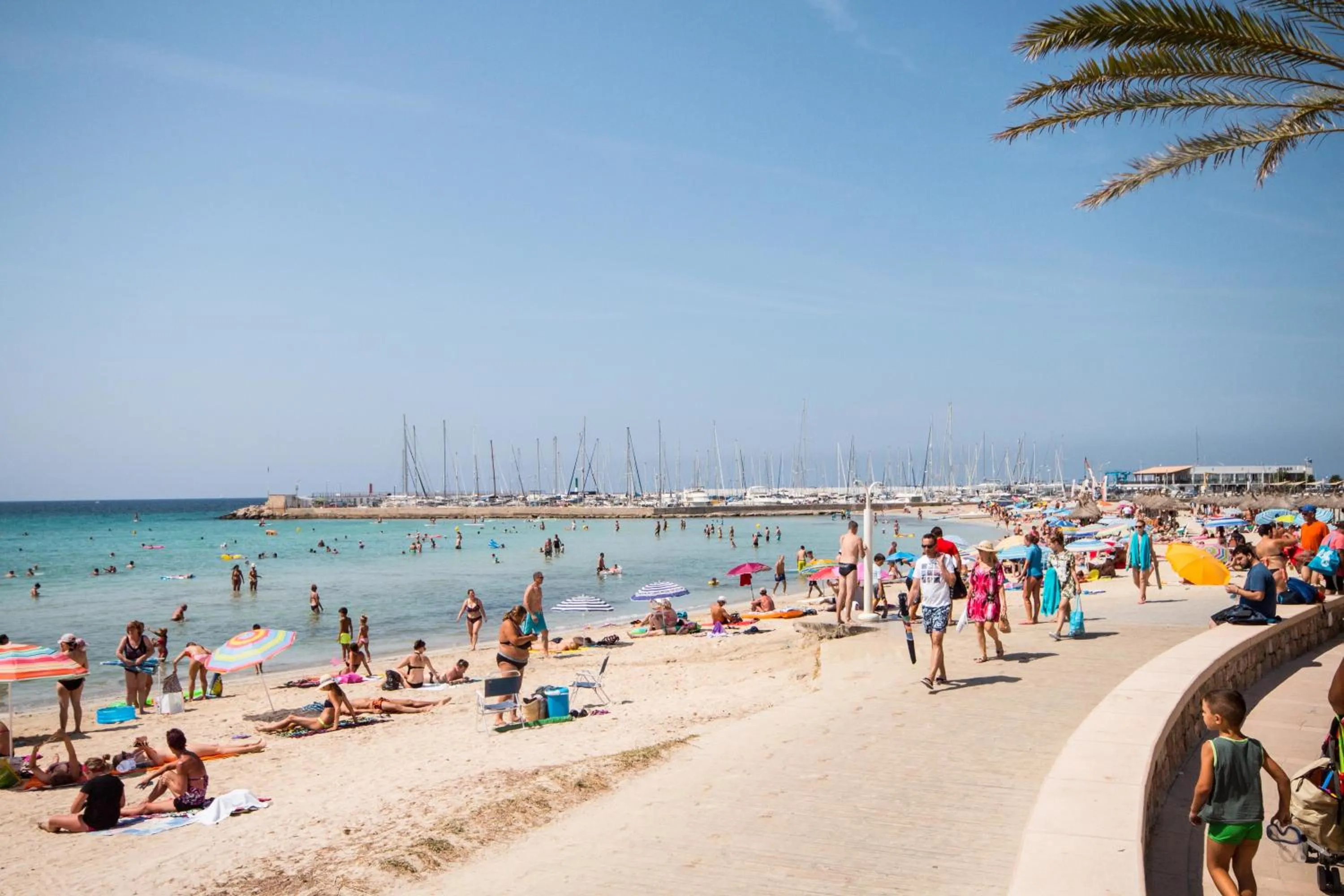 Day in Hotel Amic Gala