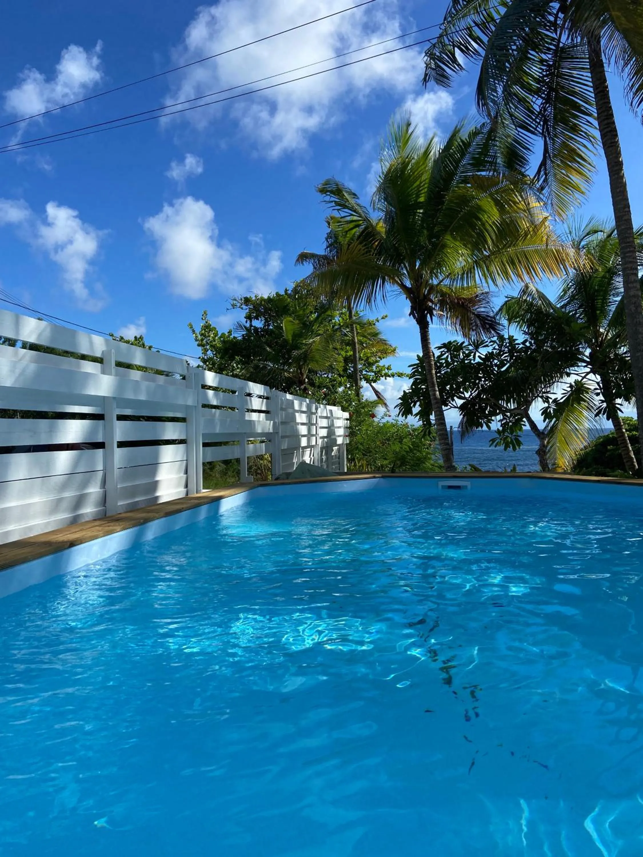 Pool view in Le M Hotel Marie Galante