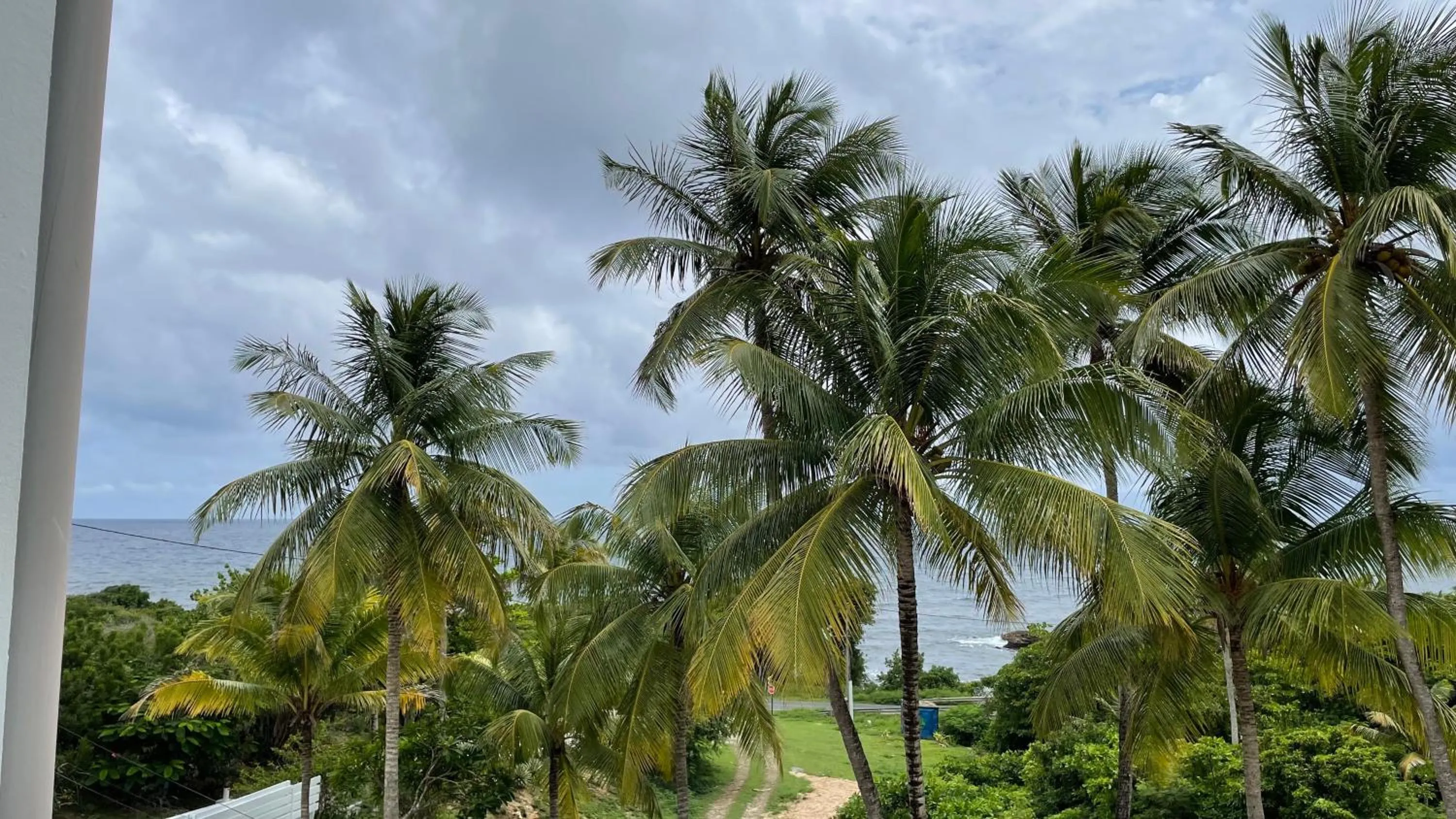 View (from property/room) in Le M Hotel Marie Galante