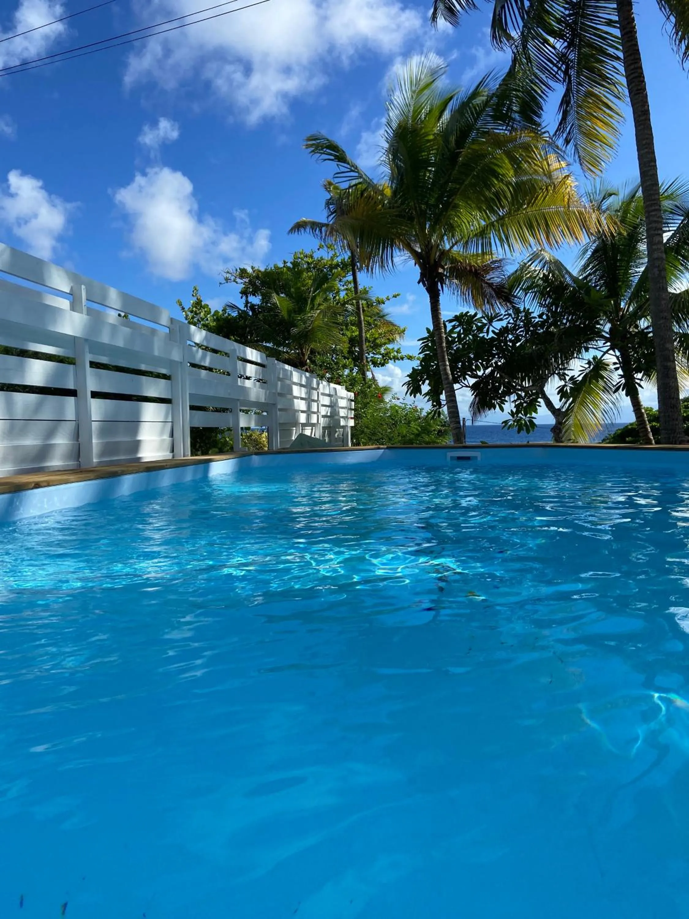 Pool view in Le M Hotel Marie Galante
