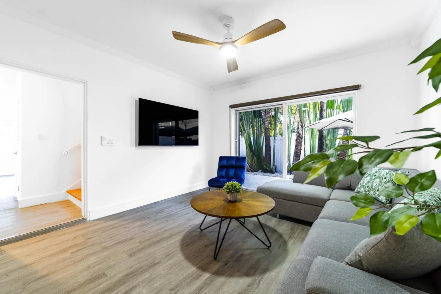 TV and multimedia in The Blue Parrot