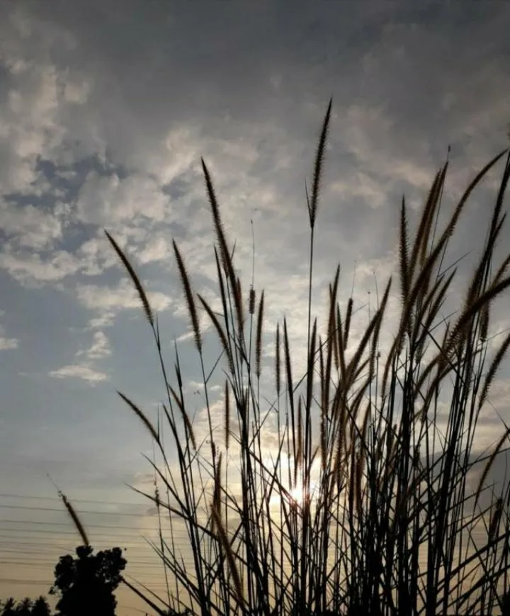 MELAKA HOTEL SENTOSA