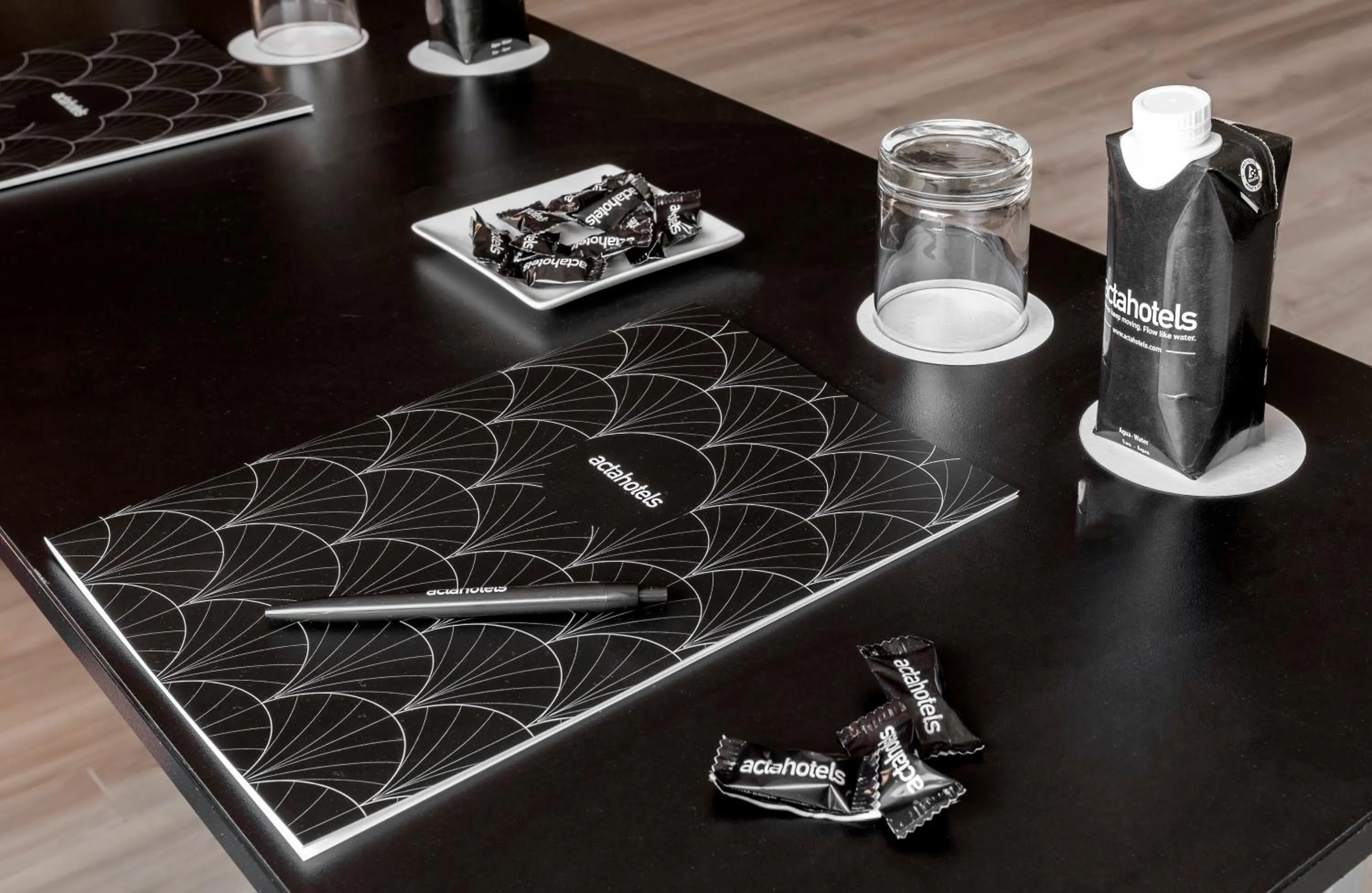 Decorative detail in Acta Pirámides