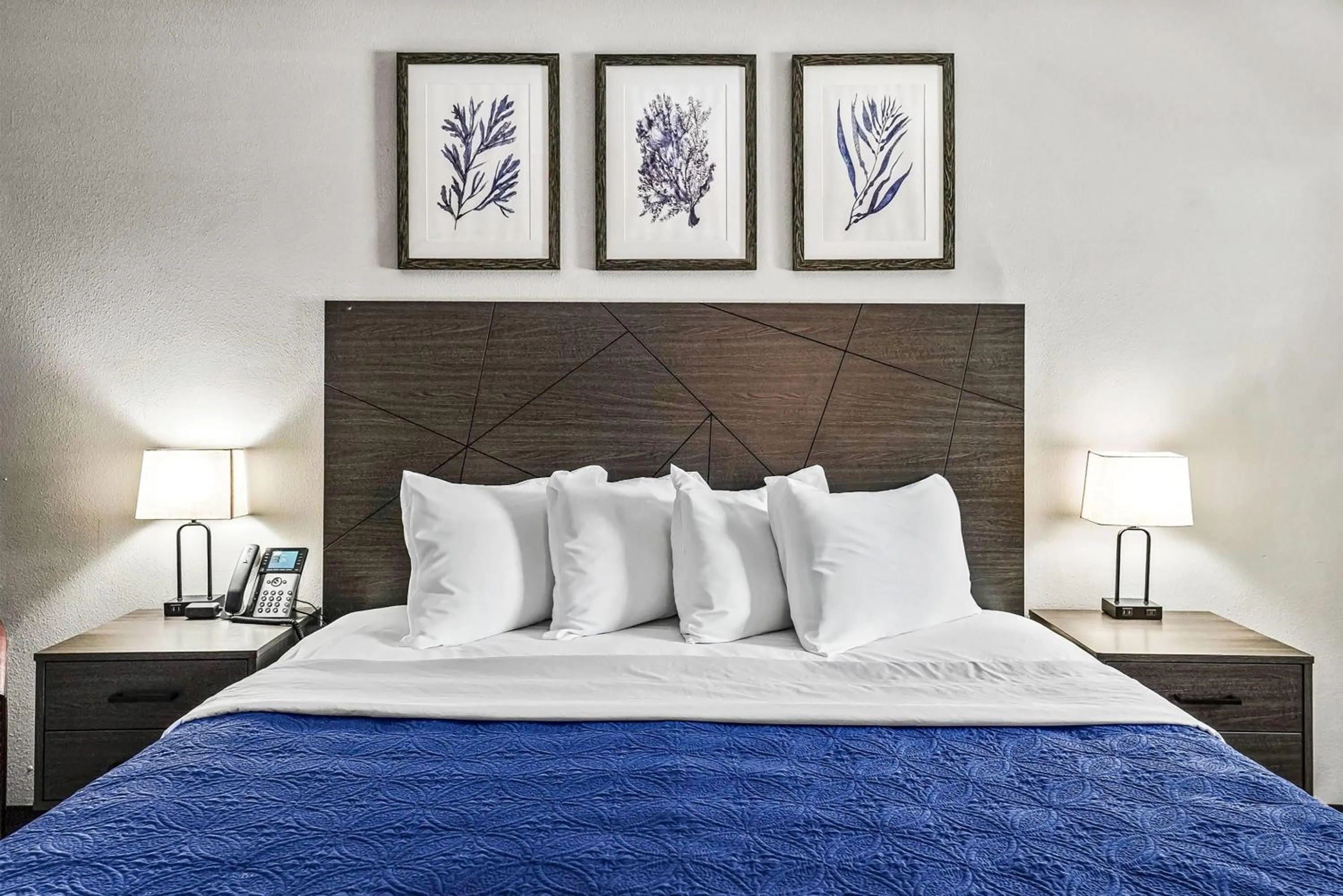 Photo of the whole room, Bed in Baymont by Wyndham Ocala Suites