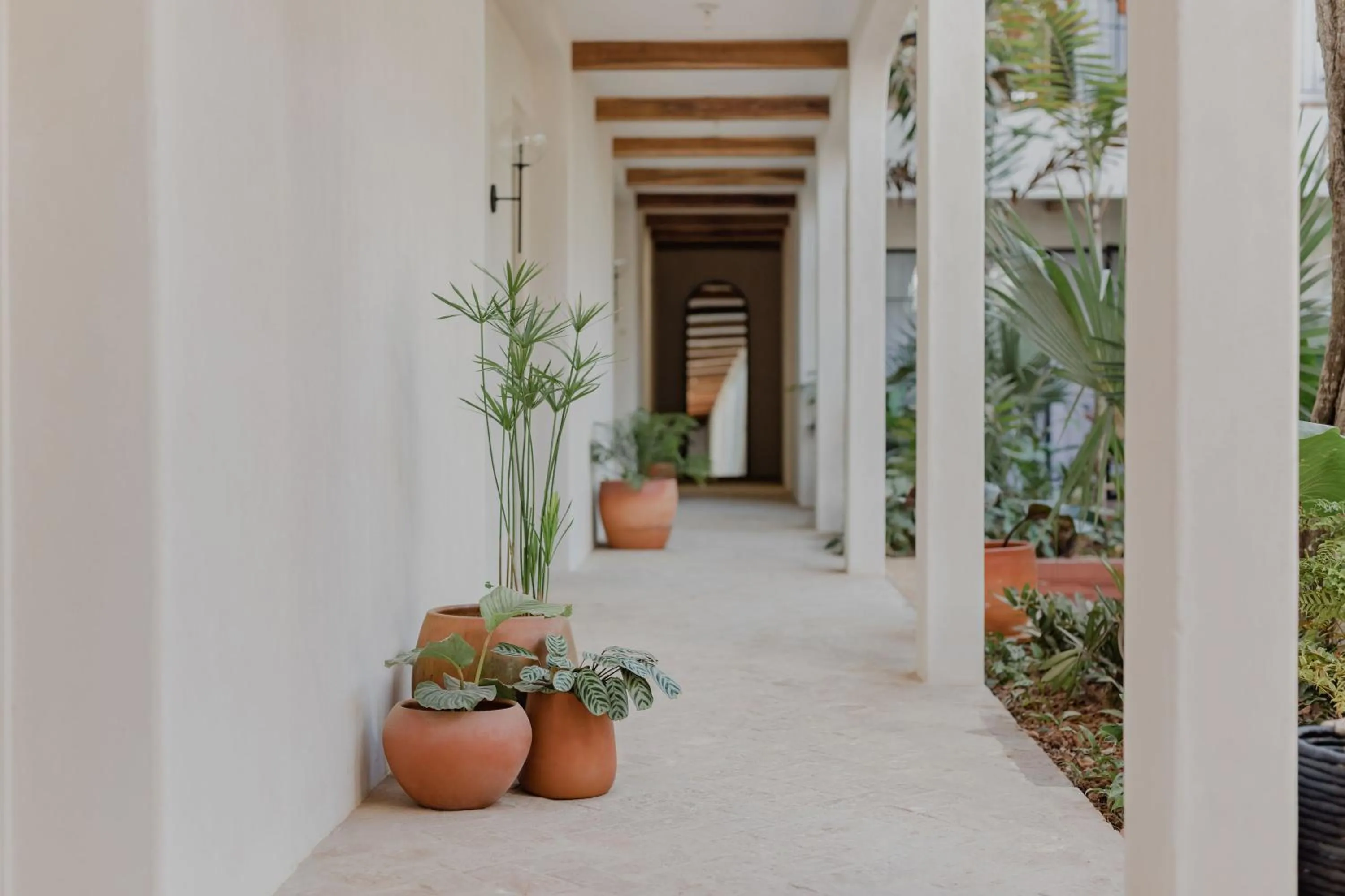 Property building in Sendero Hotel