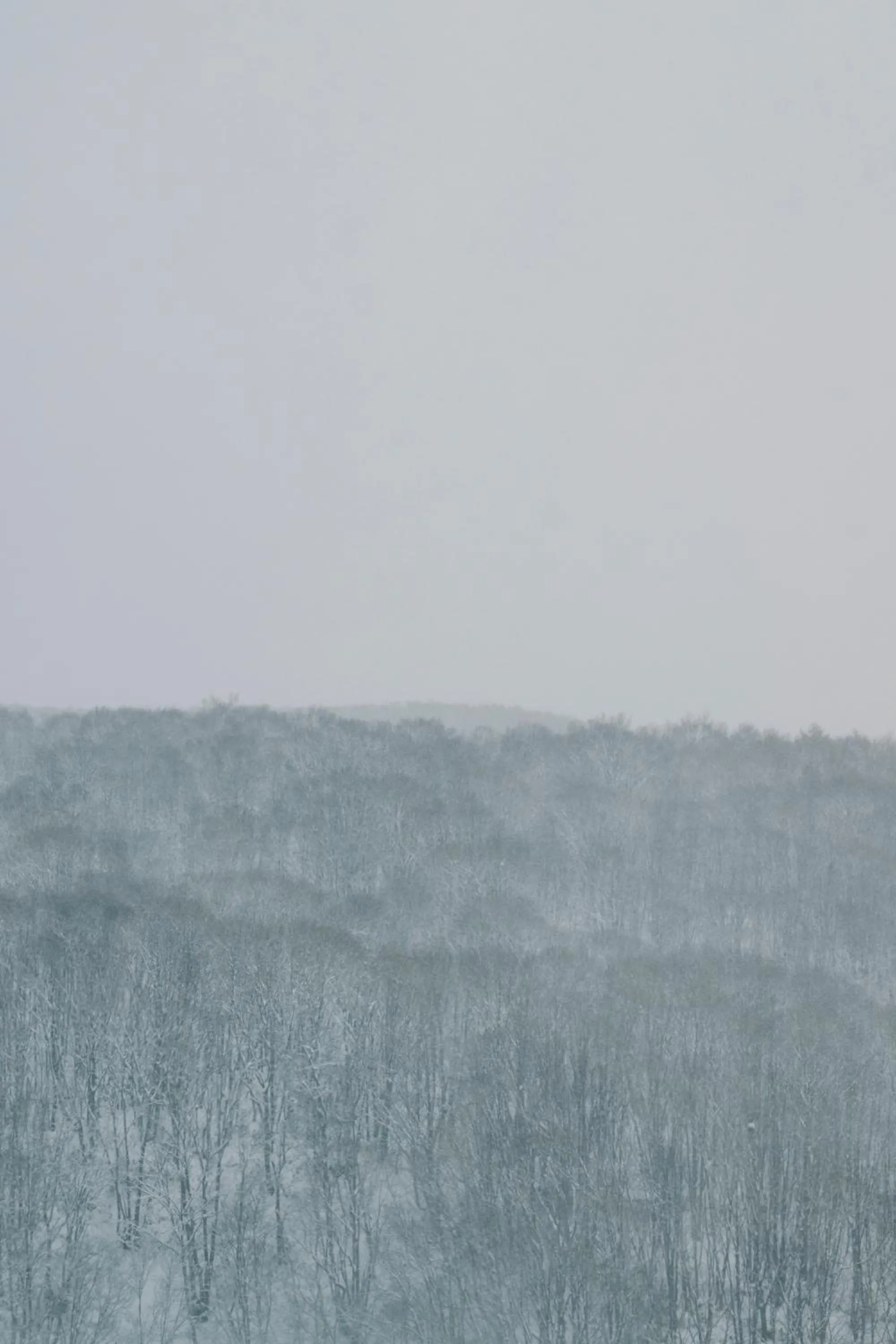 Natural landscape in MUWA NISEKO