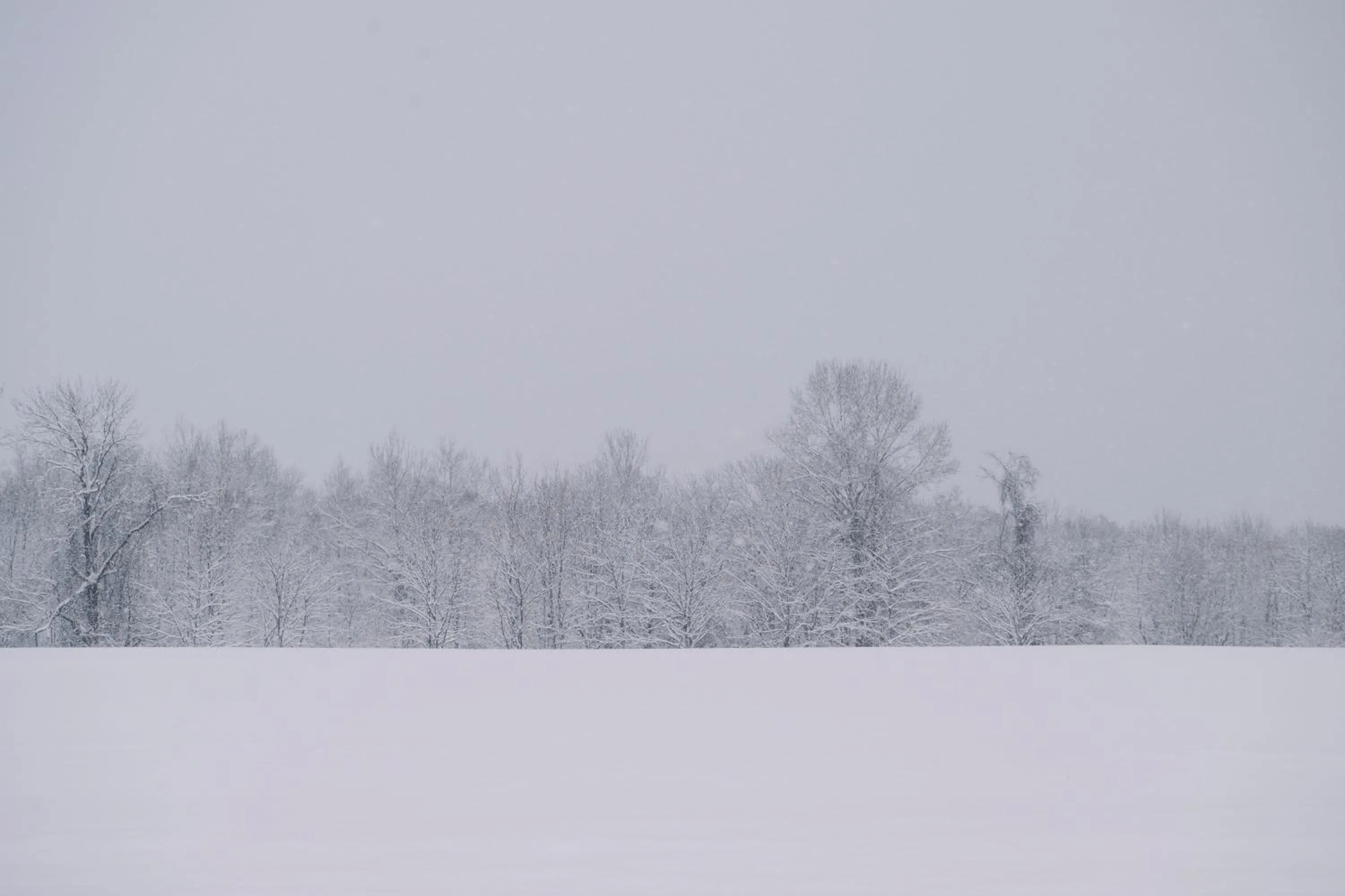 Natural landscape in MUWA NISEKO