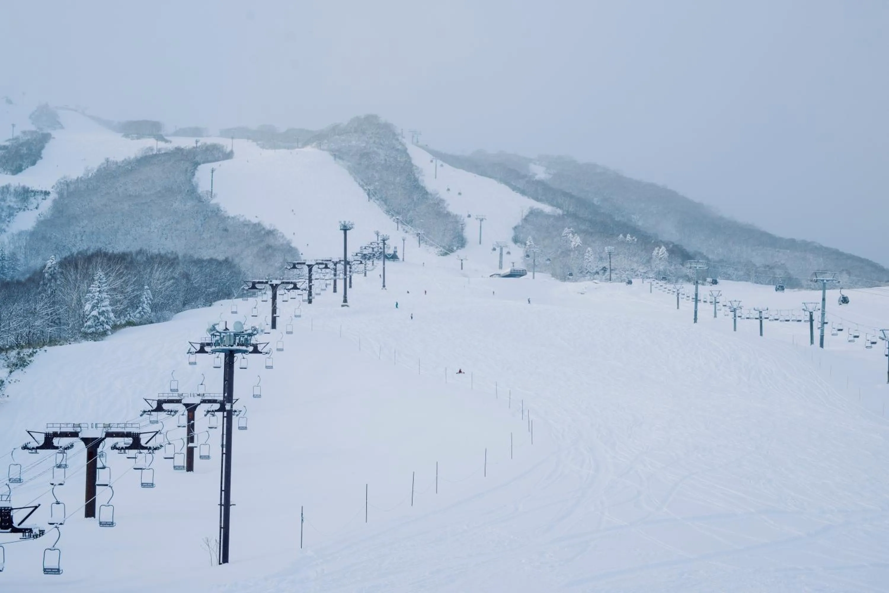Skiing in MUWA NISEKO