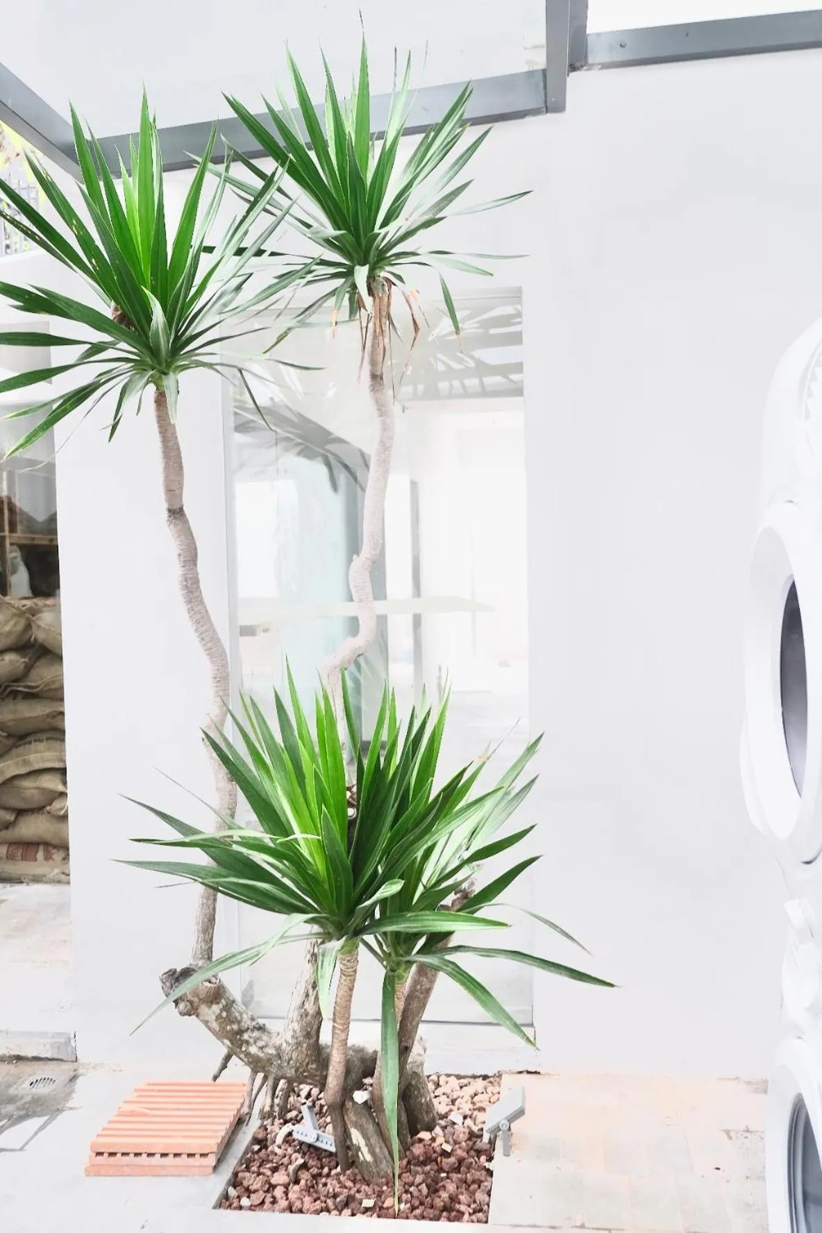 Patio in M Village Living Tú Xương